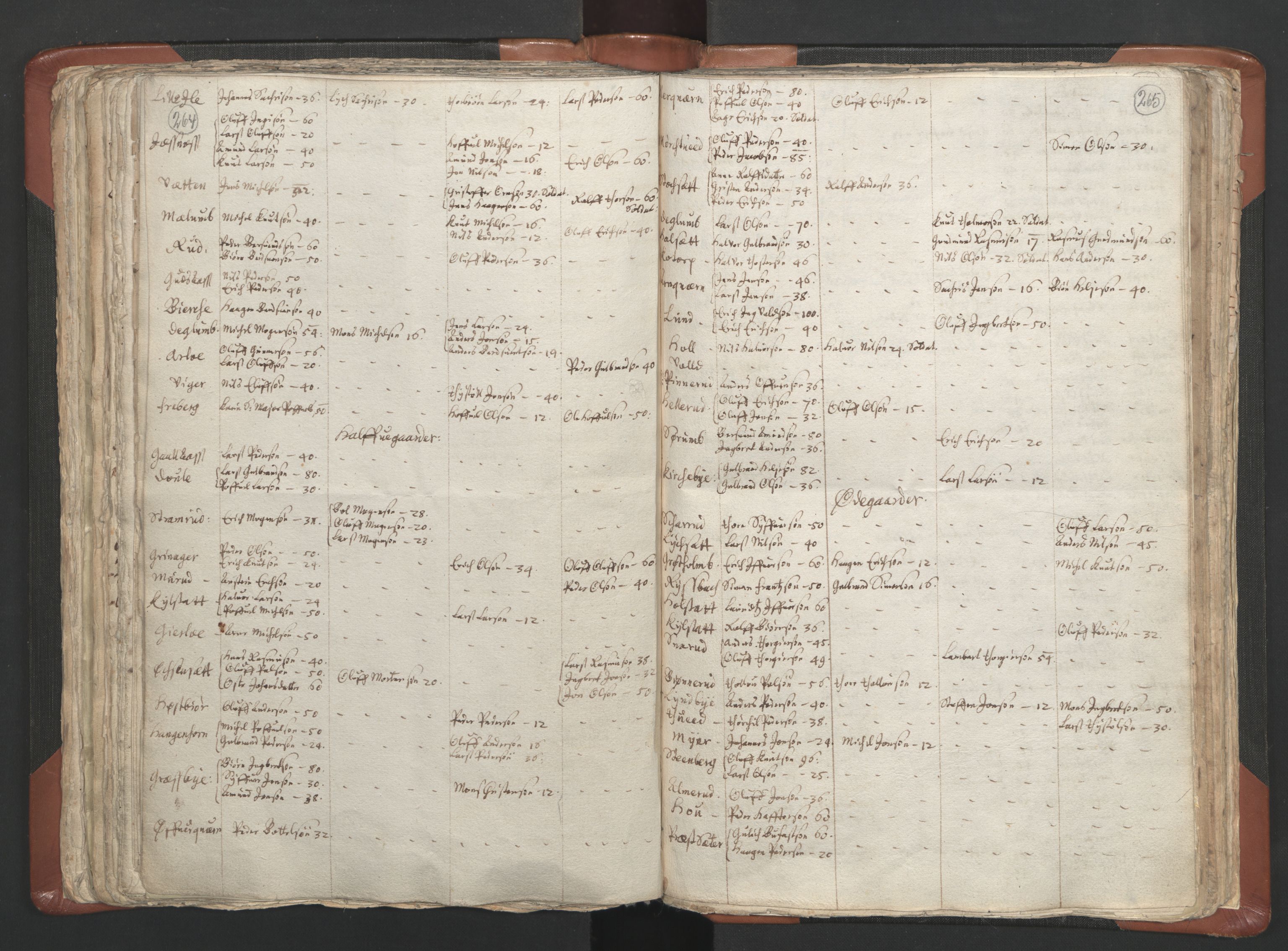 RA, Vicar's Census 1664-1666, no. 5: Hedmark deanery, 1664-1666, p. 264-265