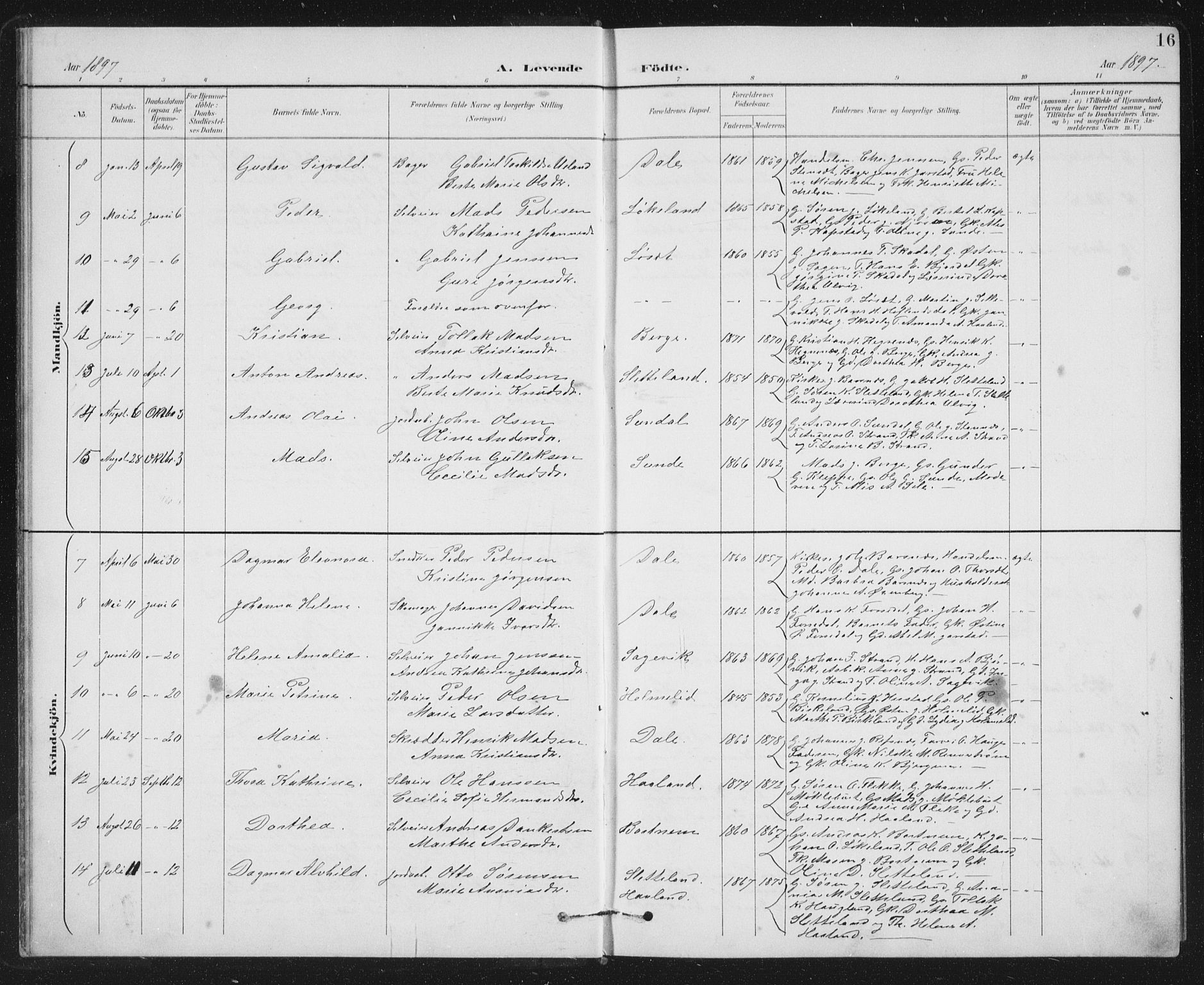 Fjaler sokneprestembete, SAB/A-79801/H/Hab/Habc/L0003: Parish register (copy) no. C 3, 1894-1917, p. 16