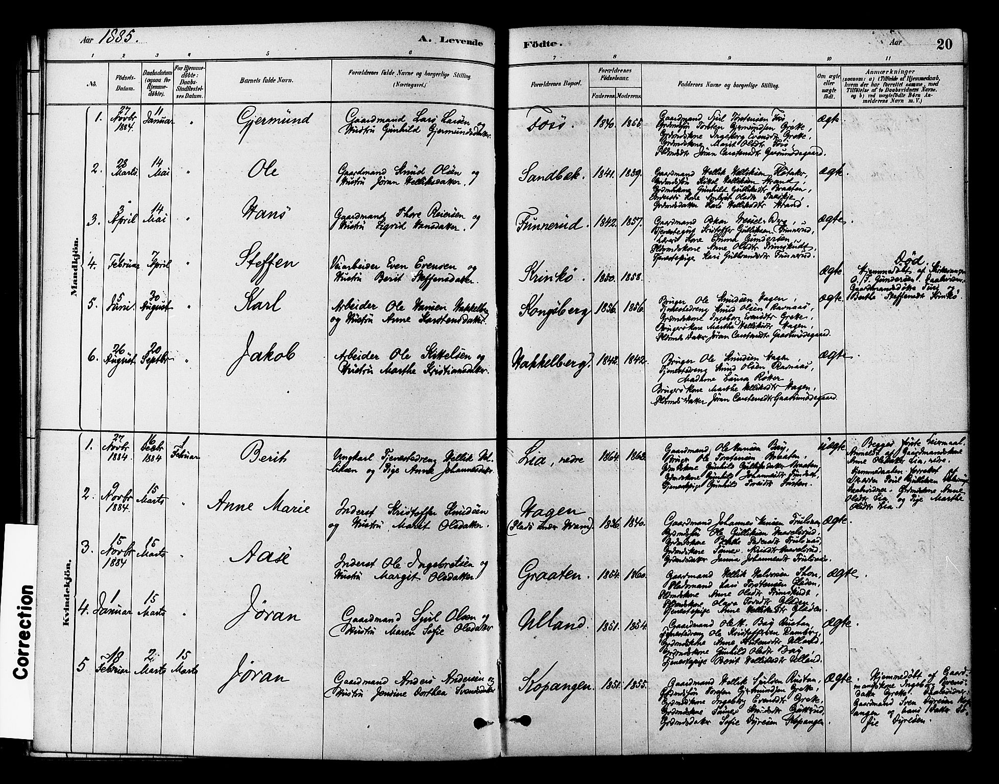 Flesberg kirkebøker, AV/SAKO-A-18/F/Fb/L0001: Parish register (official) no. II 1, 1879-1907, p. 20