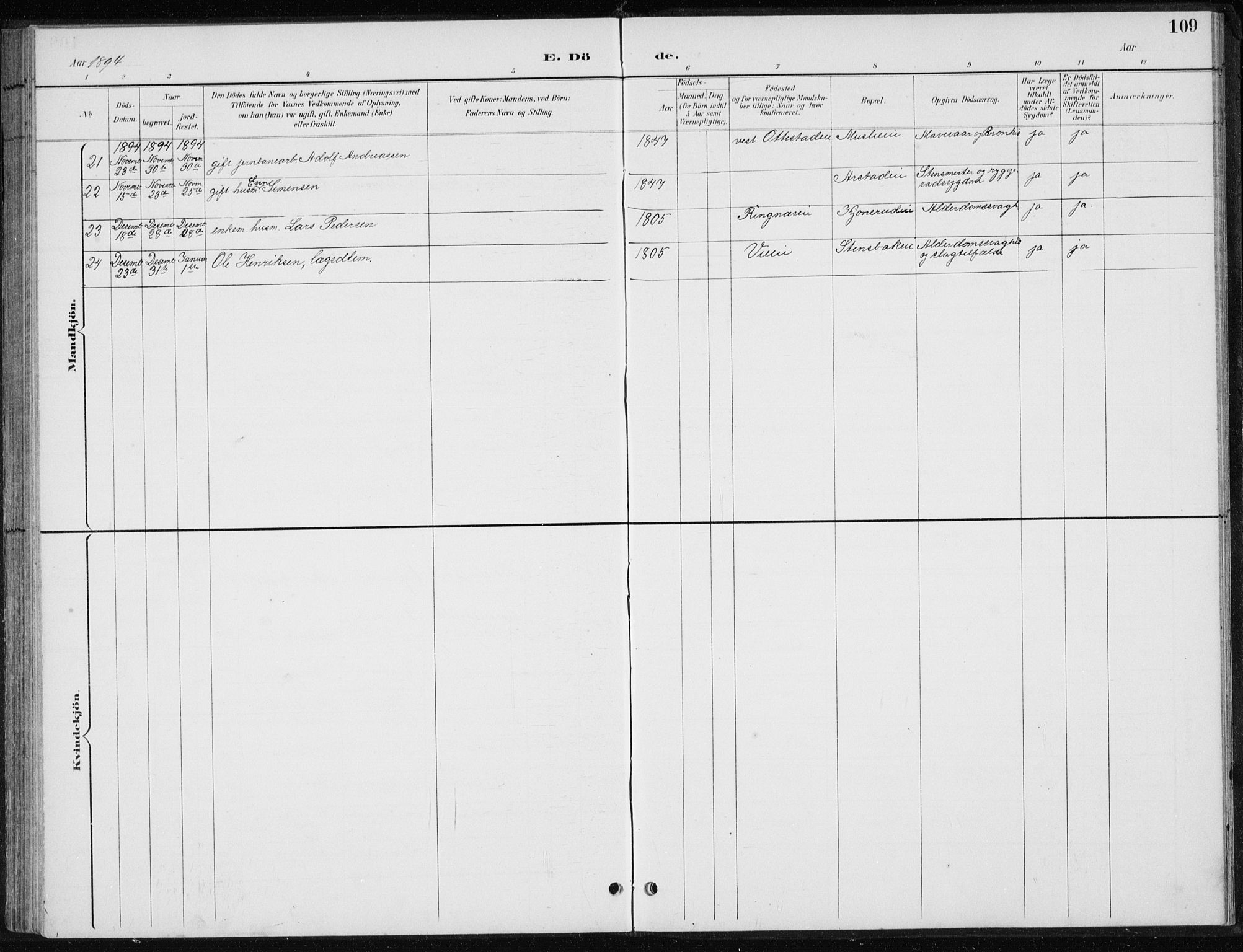 Stange prestekontor, AV/SAH-PREST-002/L/L0010: Parish register (copy) no. 10, 1894-1905, p. 109