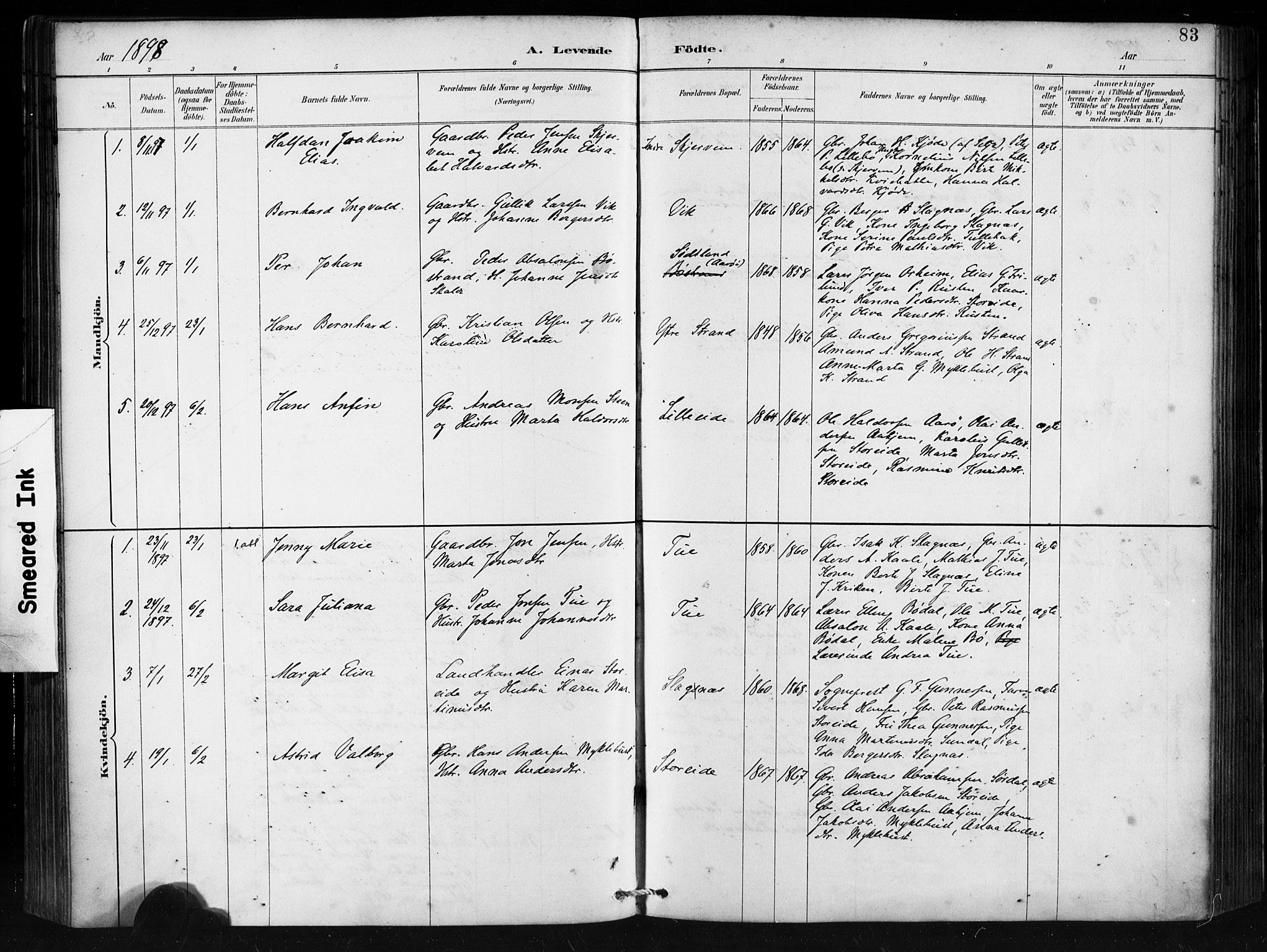 Ministerialprotokoller, klokkerbøker og fødselsregistre - Møre og Romsdal, AV/SAT-A-1454/501/L0008: Parish register (official) no. 501A08, 1885-1901, p. 83