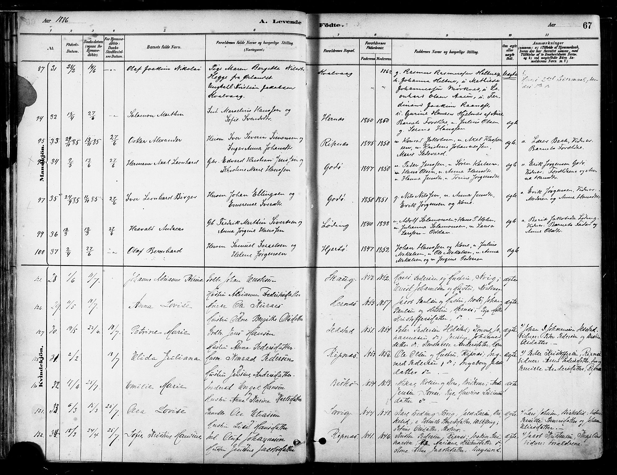 Ministerialprotokoller, klokkerbøker og fødselsregistre - Nordland, AV/SAT-A-1459/802/L0054: Parish register (official) no. 802A01, 1879-1893, p. 67