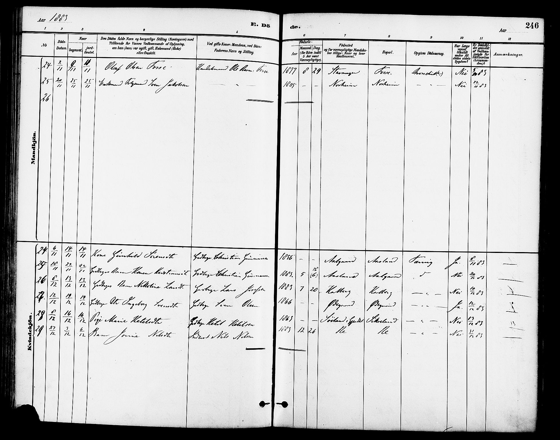 Lye sokneprestkontor, SAST/A-101794/001/30BA/L0009: Parish register (official) no. A 8, 1881-1892, p. 246