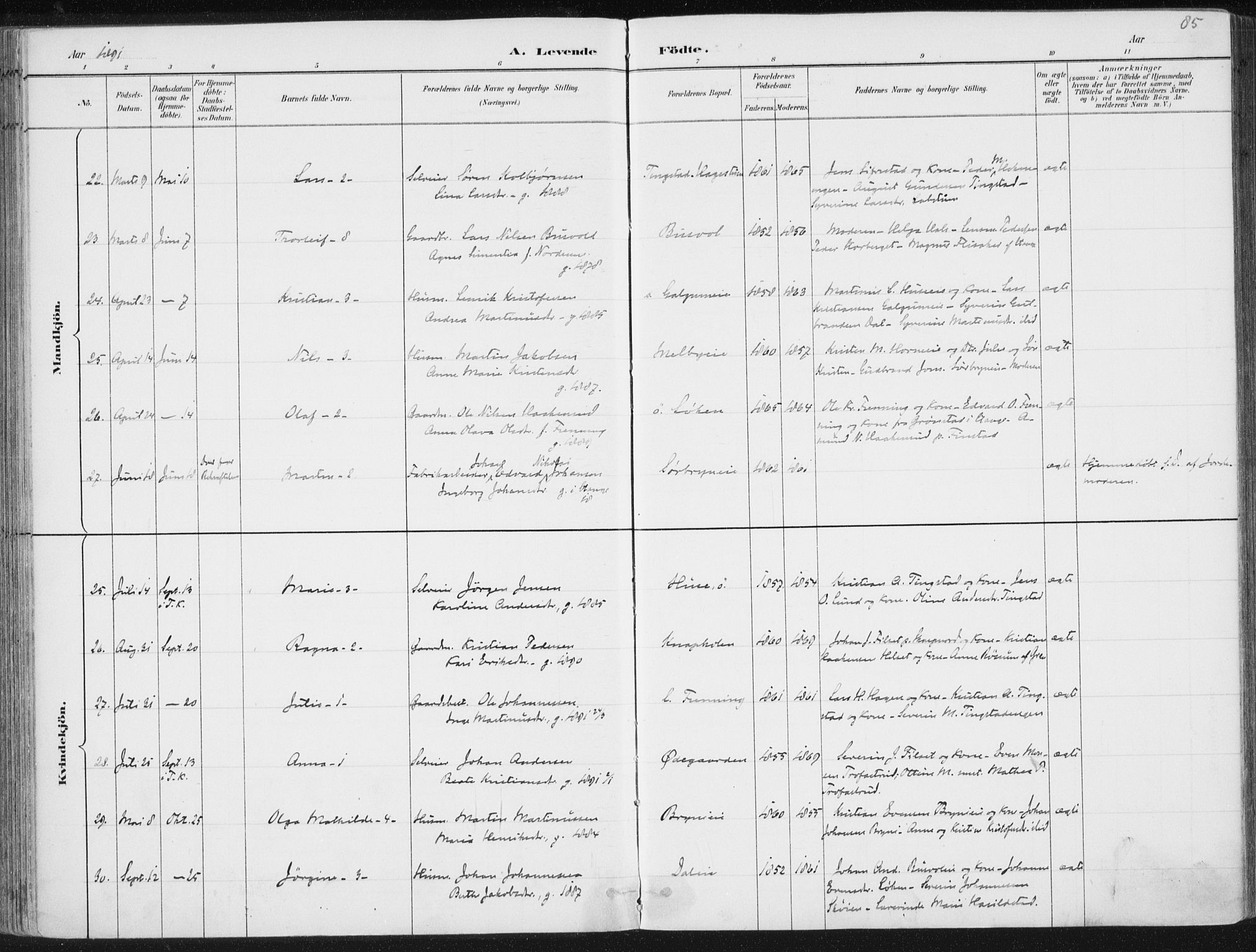 Romedal prestekontor, AV/SAH-PREST-004/K/L0010: Parish register (official) no. 10, 1880-1895, p. 85