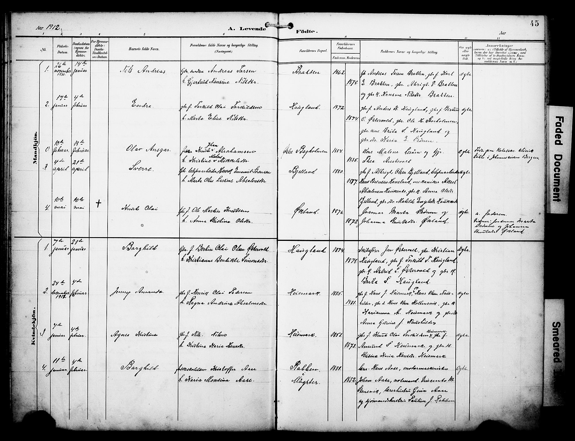 Austevoll Sokneprestembete, SAB/A-74201/H/Hab: Parish register (copy) no. A 4, 1901-1912, p. 45