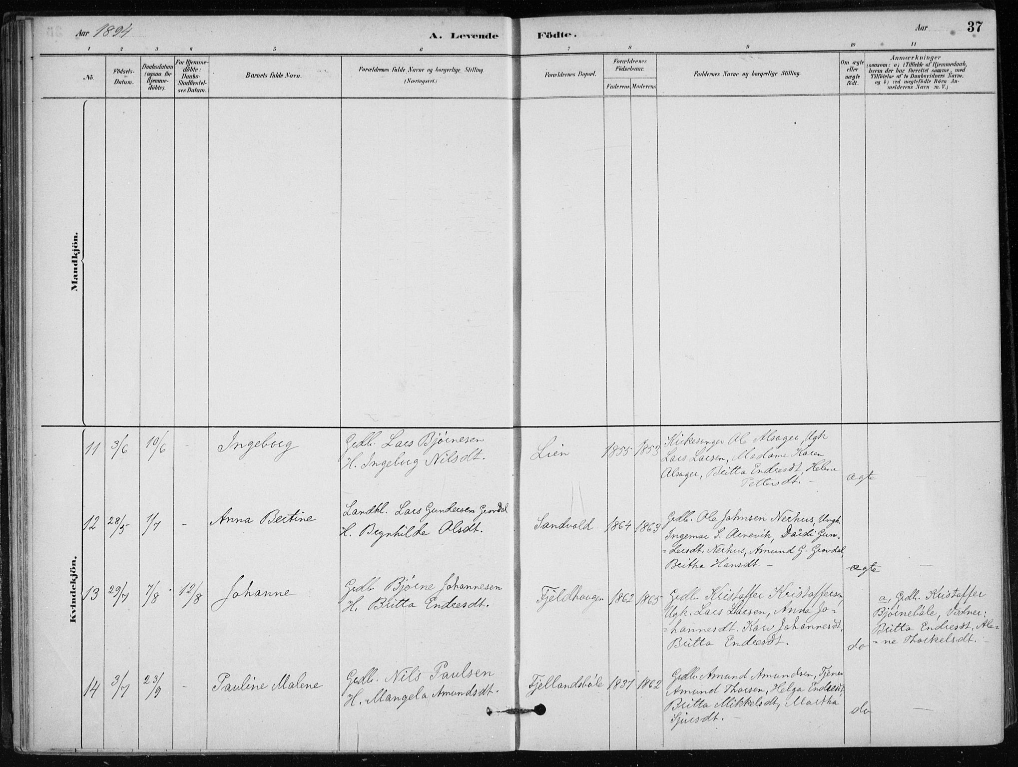 Skånevik sokneprestembete, AV/SAB-A-77801/H/Haa: Parish register (official) no. C  1, 1879-1917, p. 37