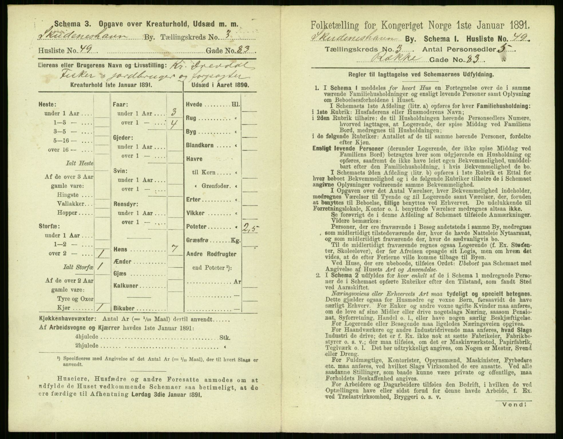 RA, 1891 census for 1104 Skudeneshavn, 1891, p. 288