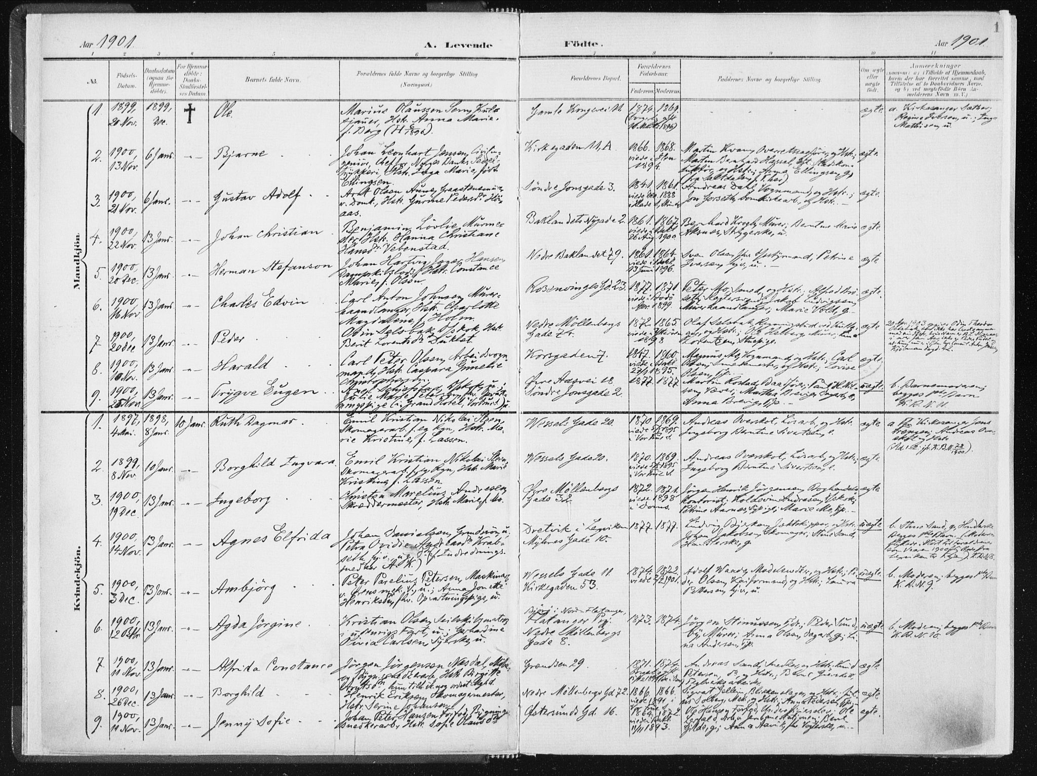 Ministerialprotokoller, klokkerbøker og fødselsregistre - Sør-Trøndelag, SAT/A-1456/604/L0199: Parish register (official) no. 604A20I, 1901-1906, p. 1
