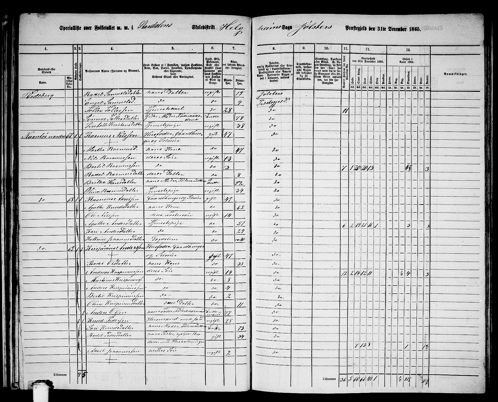 RA, 1865 census for Jølster, 1865, p. 49