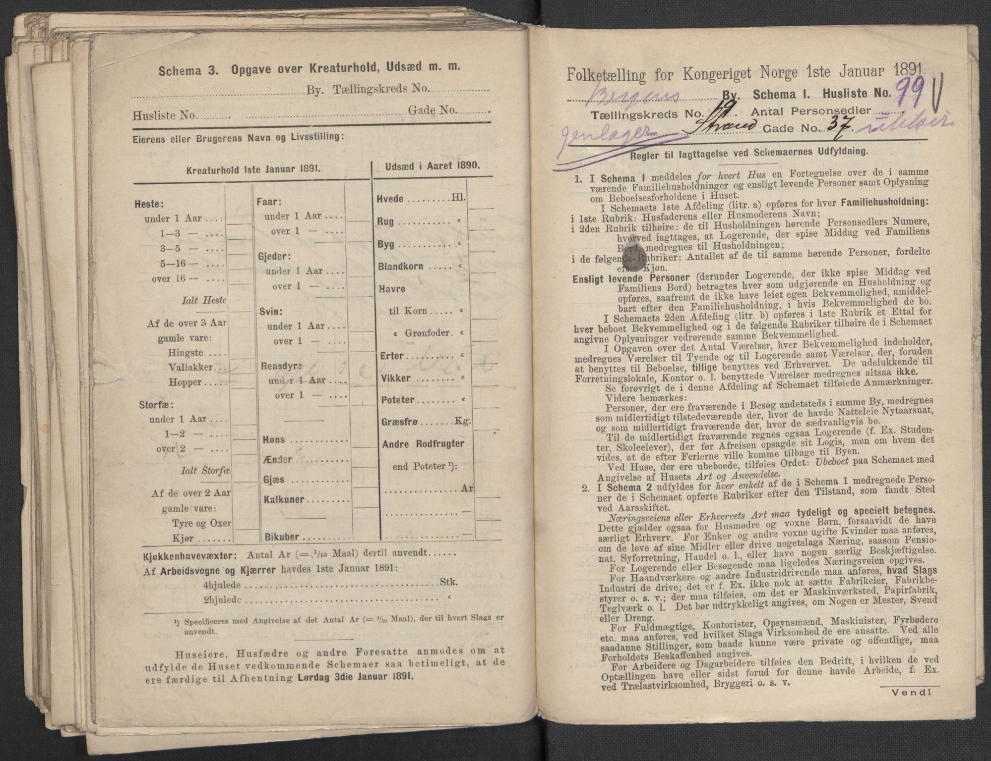 RA, 1891 Census for 1301 Bergen, 1891, p. 3144