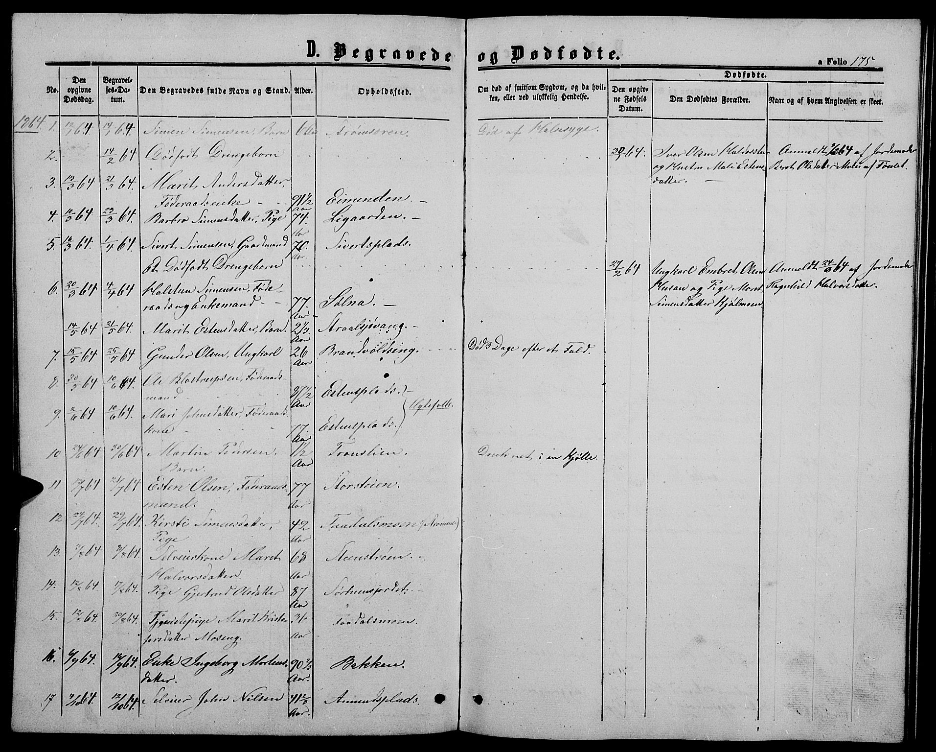 Alvdal prestekontor, SAH/PREST-060/H/Ha/Hab/L0002: Parish register (copy) no. 2, 1863-1878, p. 175