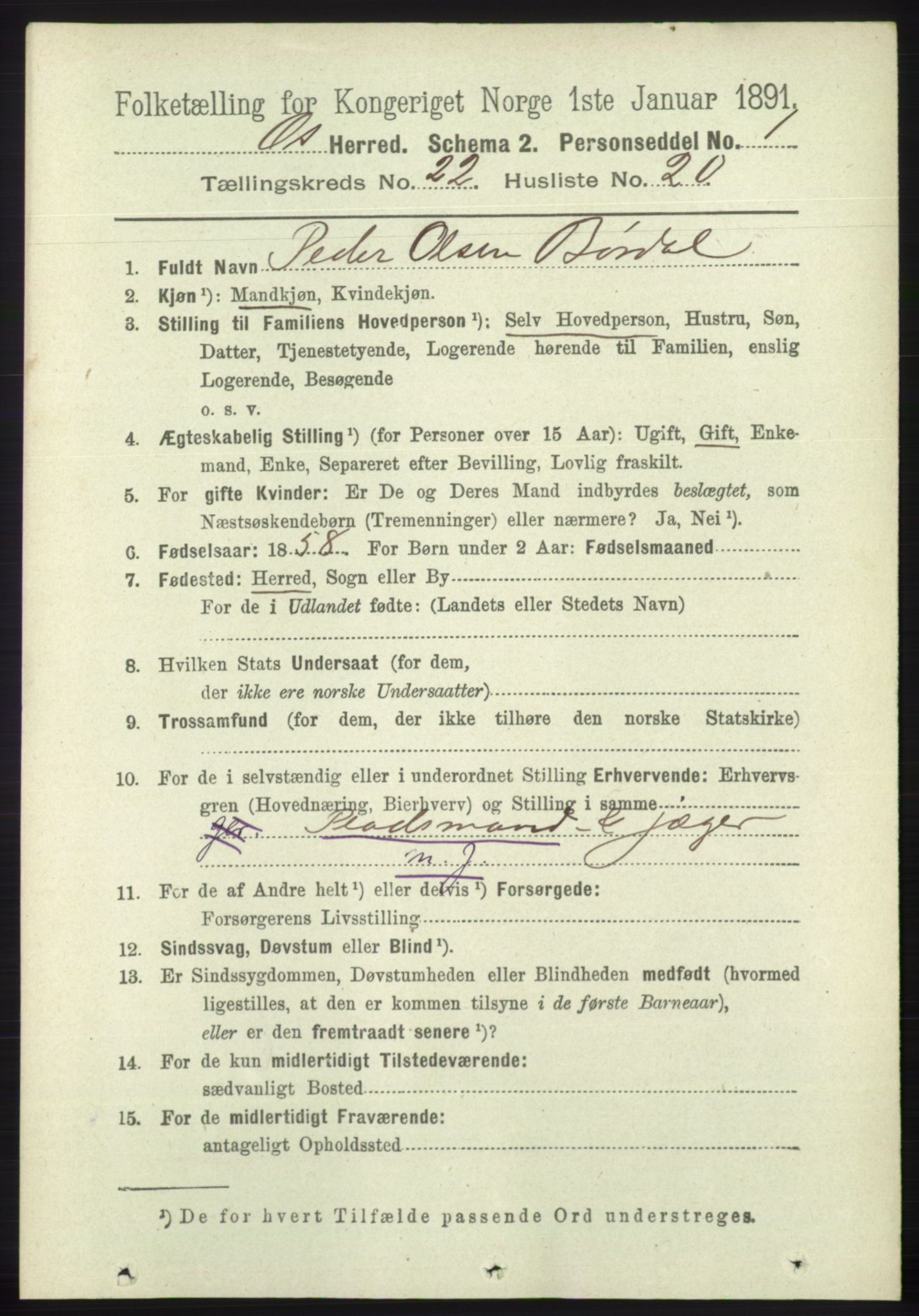 RA, 1891 census for 1243 Os, 1891, p. 5005