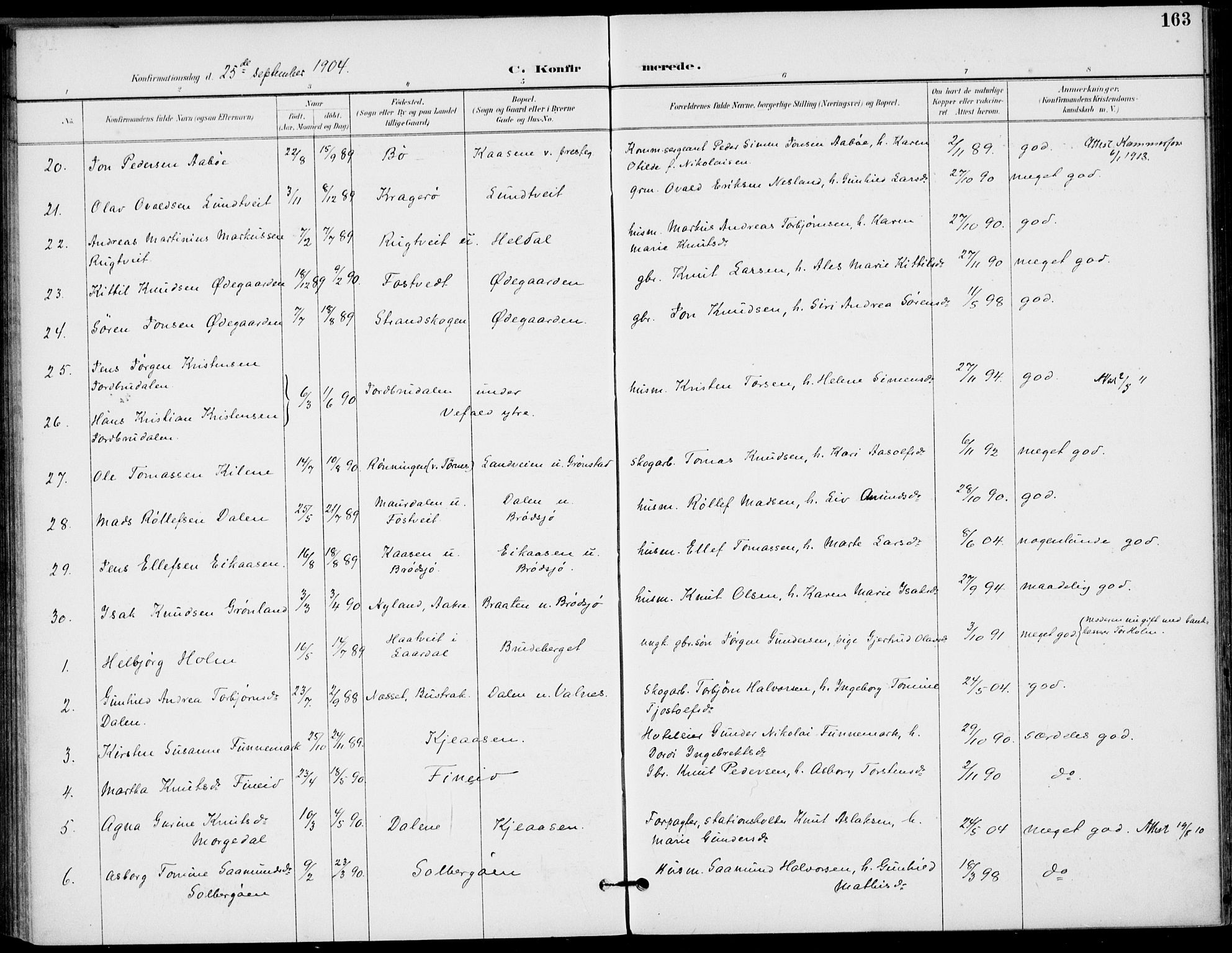 Drangedal kirkebøker, SAKO/A-258/F/Fa/L0012: Parish register (official) no. 12, 1895-1905, p. 163