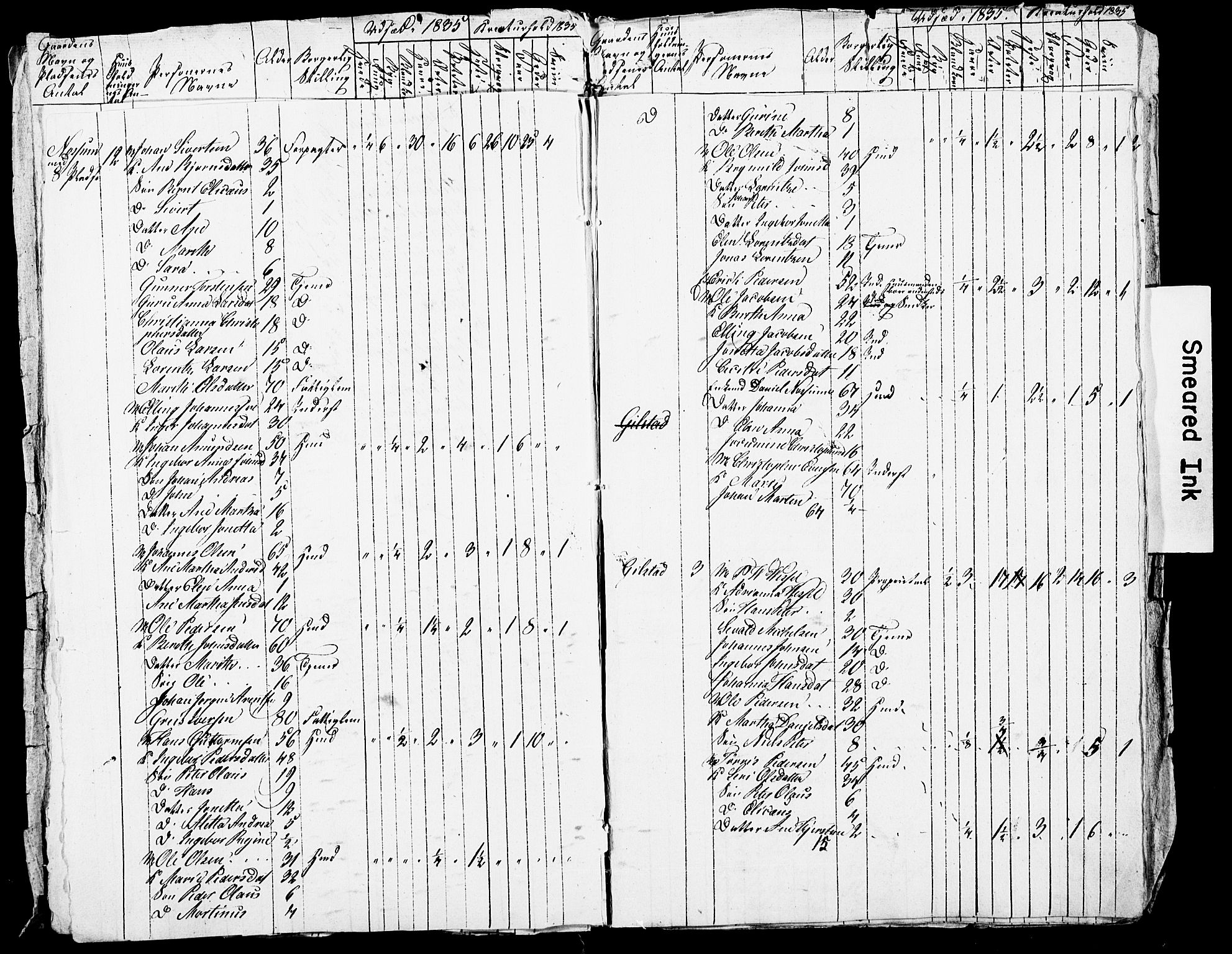 , Census 1835 for Skogn, 1835, p. 31