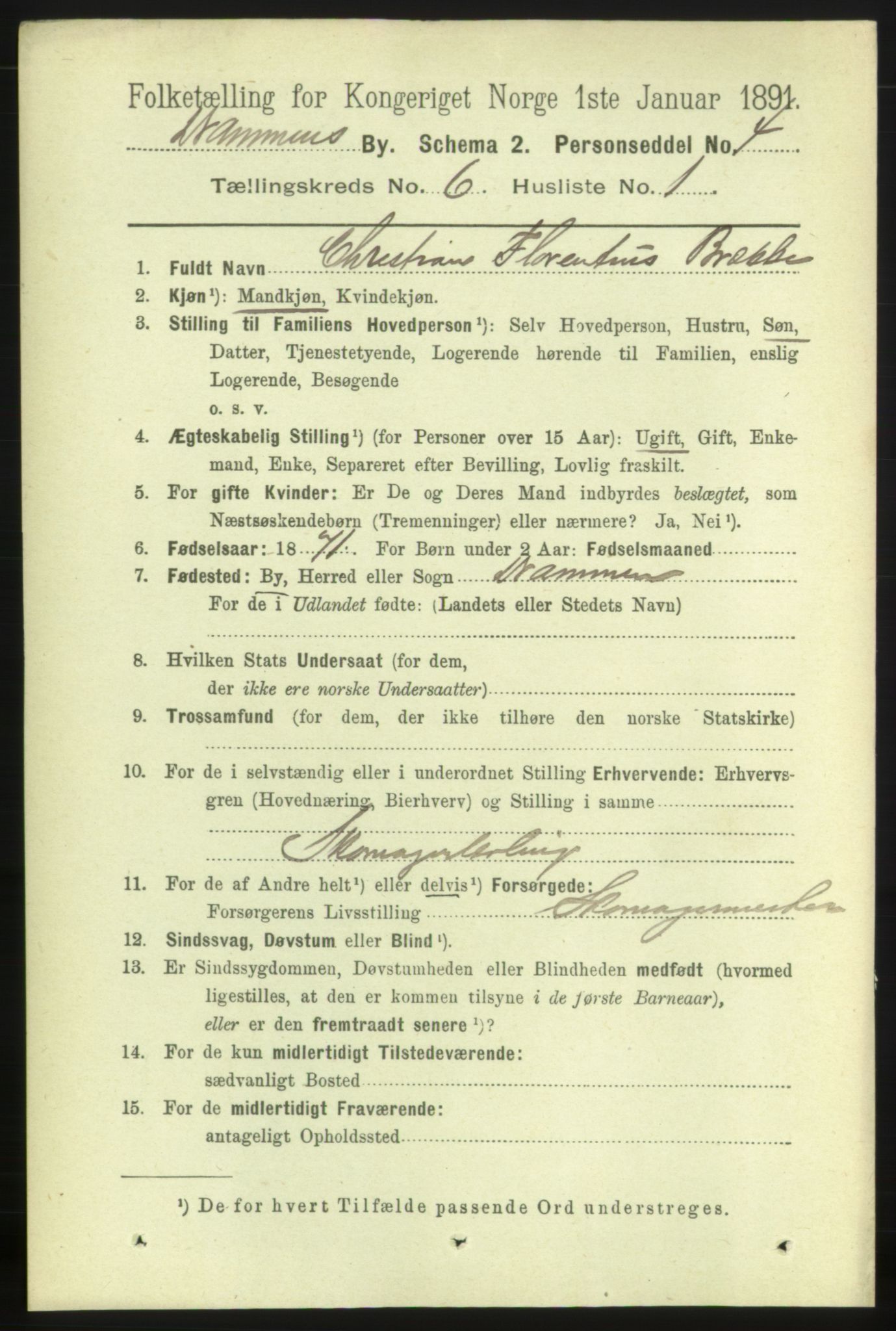 RA, 1891 census for 0602 Drammen, 1891, p. 6095