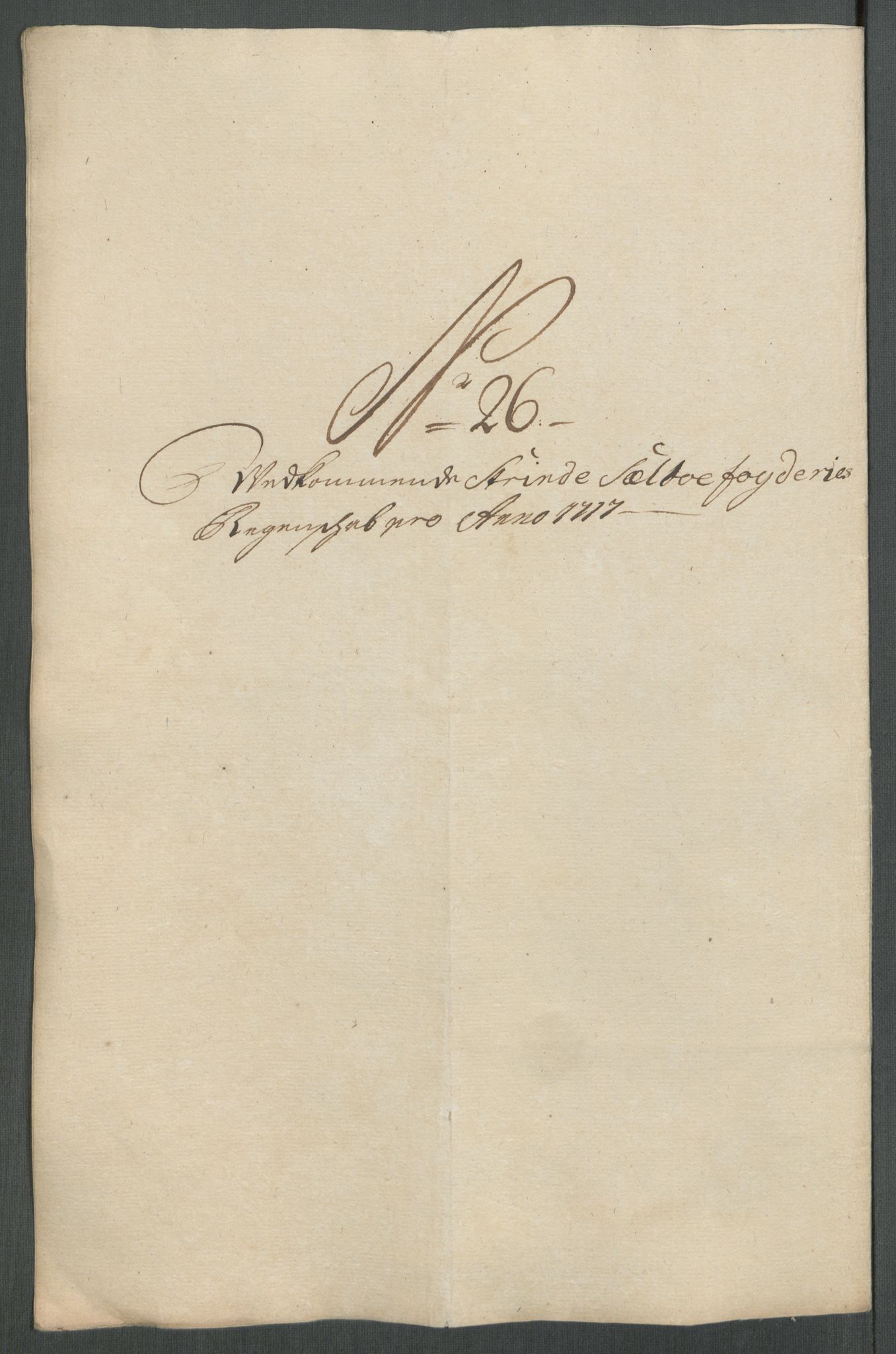 Rentekammeret inntil 1814, Reviderte regnskaper, Fogderegnskap, AV/RA-EA-4092/R61/L4116: Fogderegnskap Strinda og Selbu, 1717-1718, p. 208