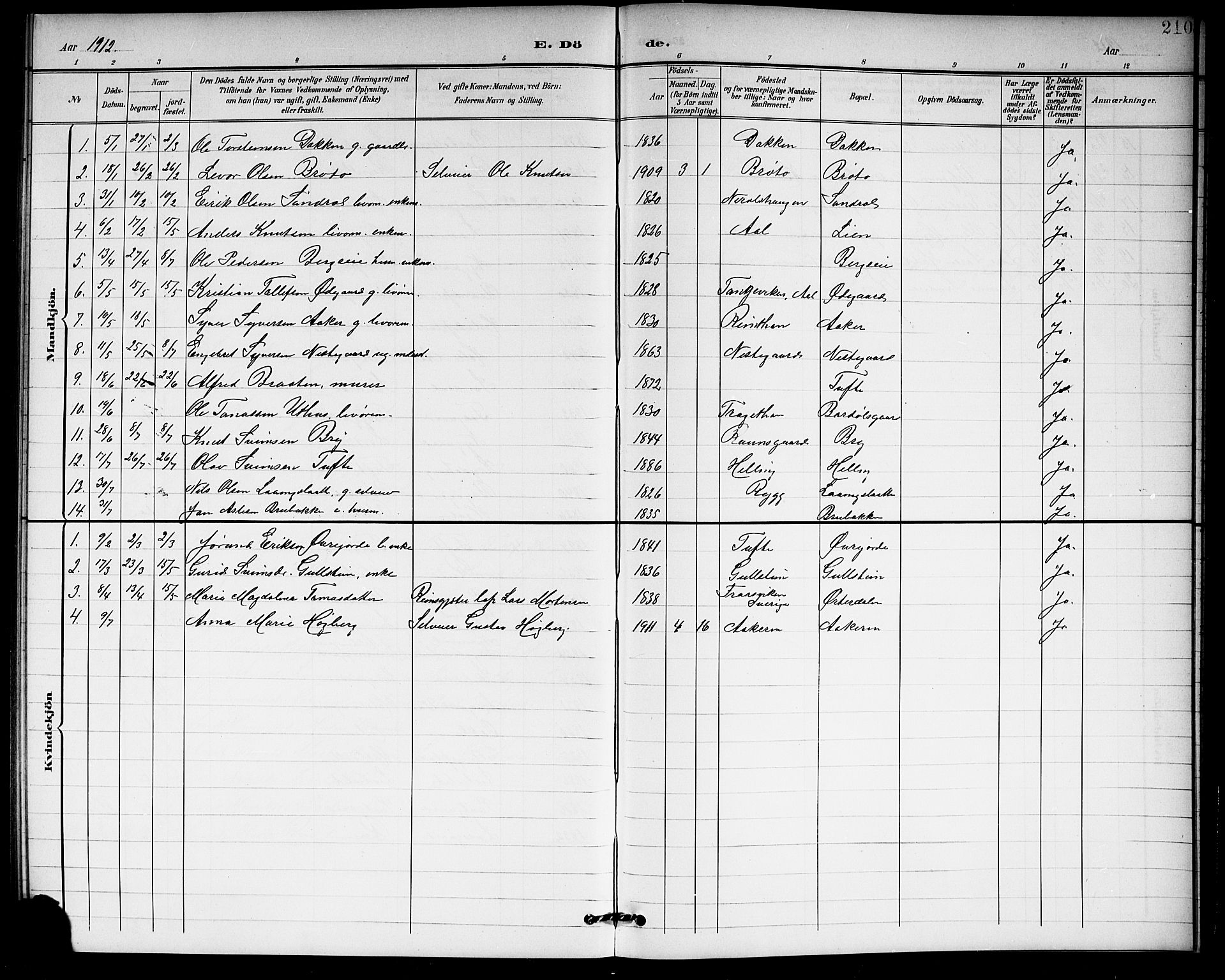 Hol kirkebøker, SAKO/A-227/G/Ga/L0001: Parish register (copy) no. I 1, 1900-1919, p. 210