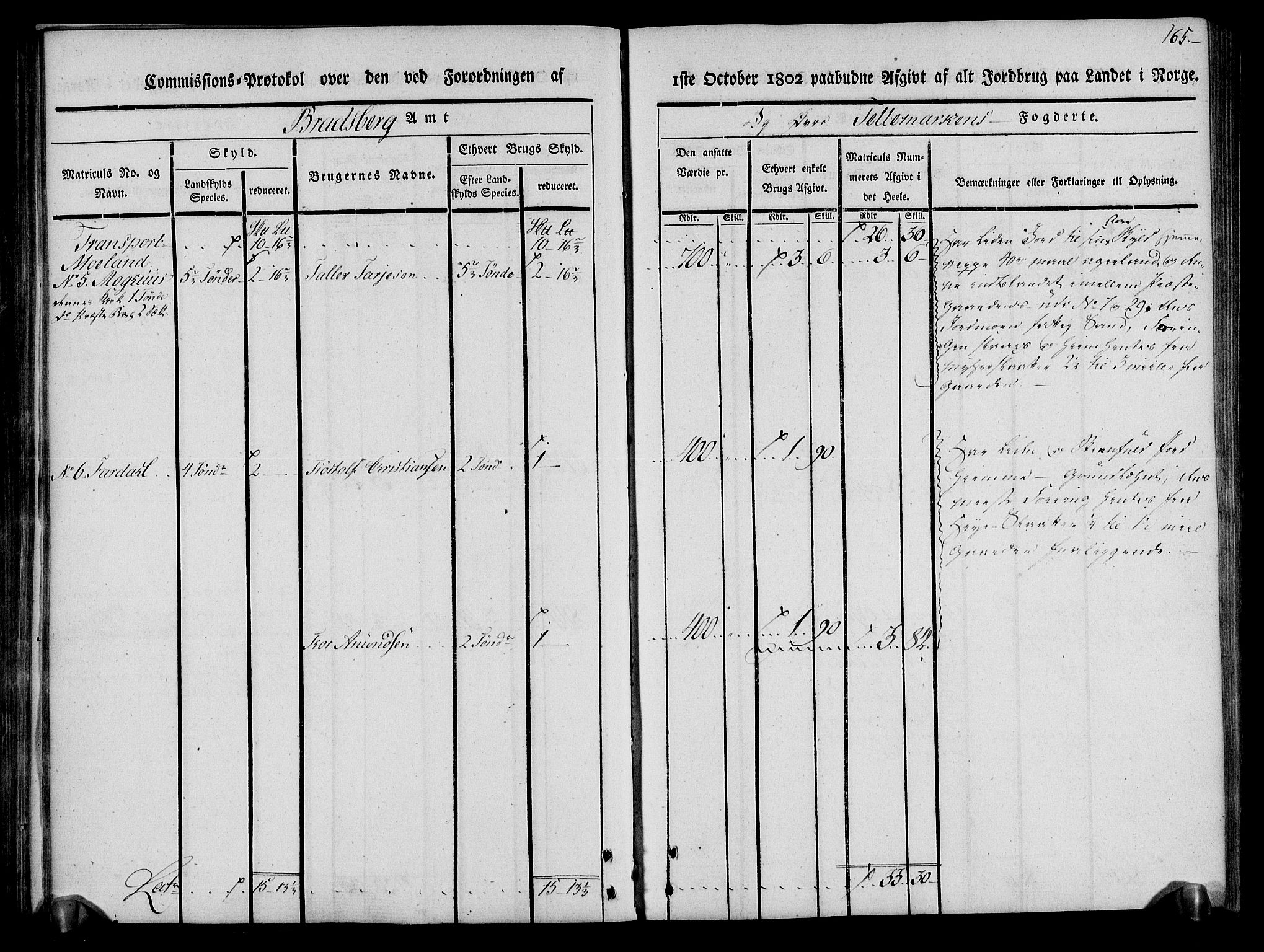 Rentekammeret inntil 1814, Realistisk ordnet avdeling, AV/RA-EA-4070/N/Ne/Nea/L0075: Øvre Telemarken fogderi. Kommisjonsprotokoll for fogderiets vestre del - Kviteseid, Vinje, Moland [):Fyresdal] og Lårdal prestegjeld., 1803, p. 167