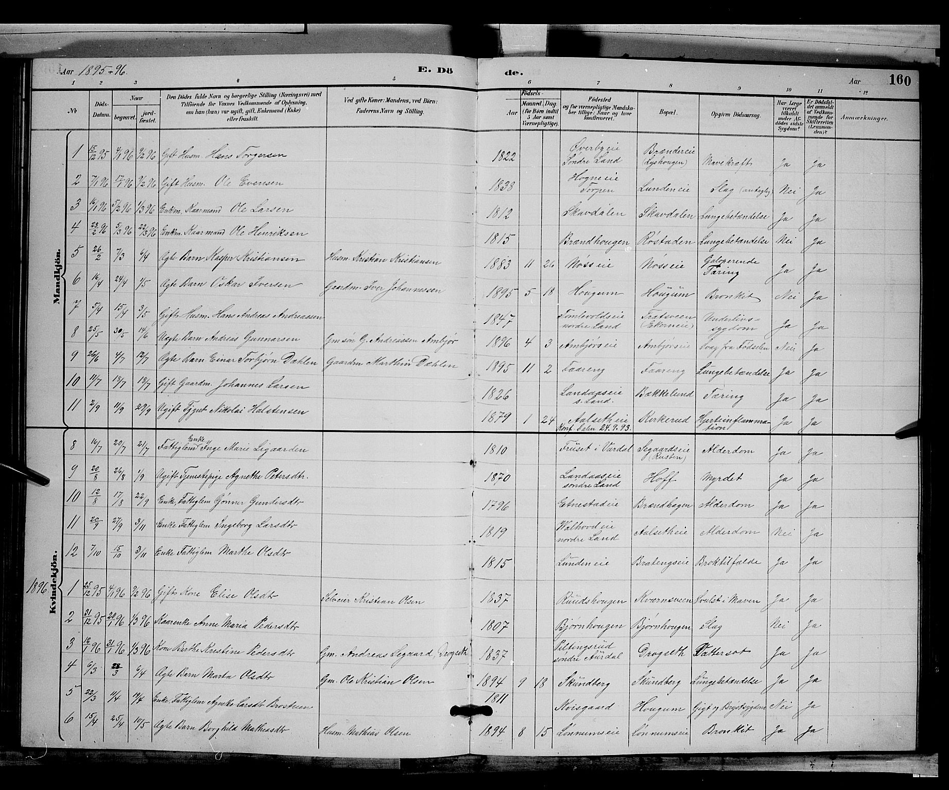 Biri prestekontor, SAH/PREST-096/H/Ha/Hab/L0003: Parish register (copy) no. 3, 1892-1905, p. 160