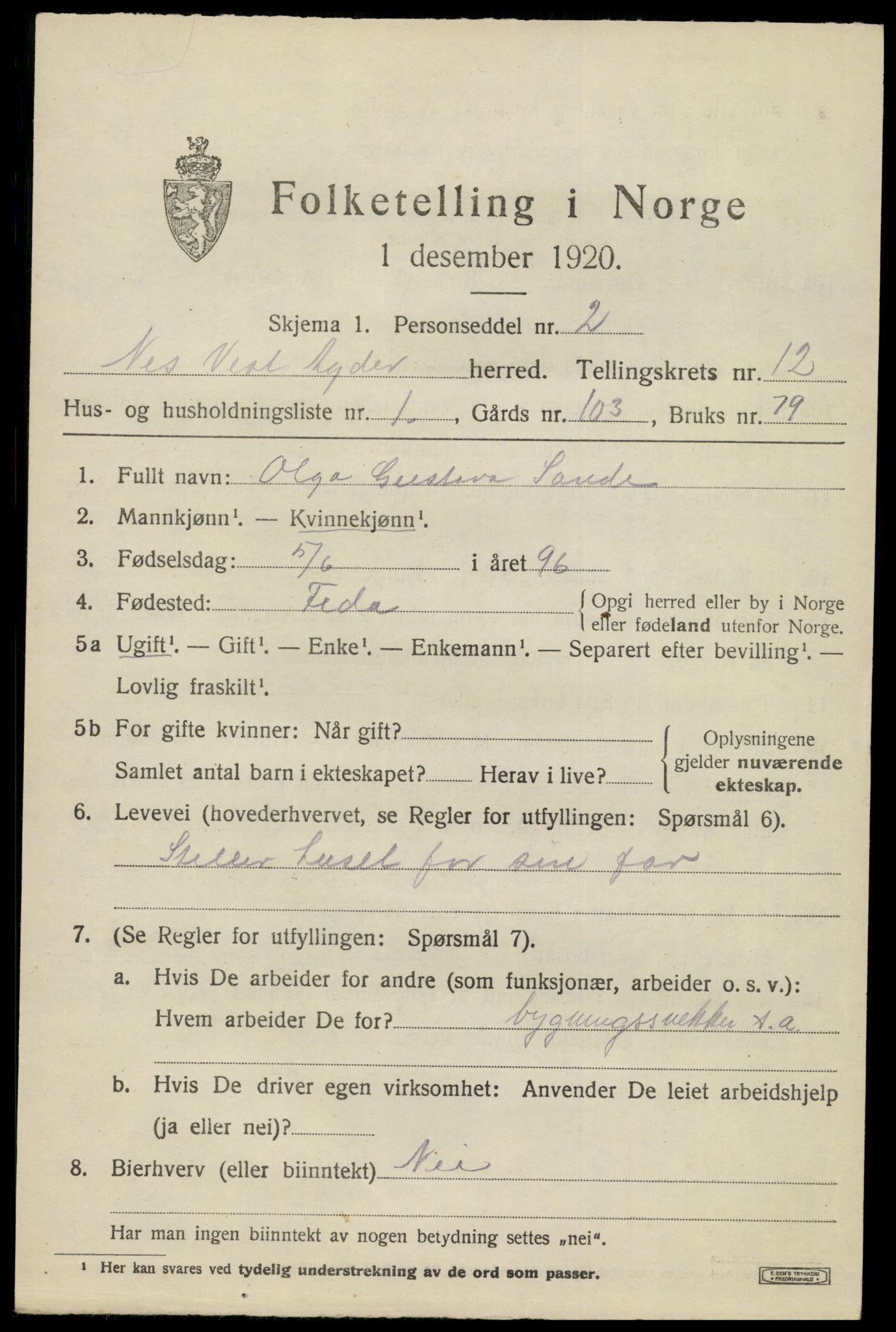 SAK, 1920 census for Nes (V-A), 1920, p. 4236