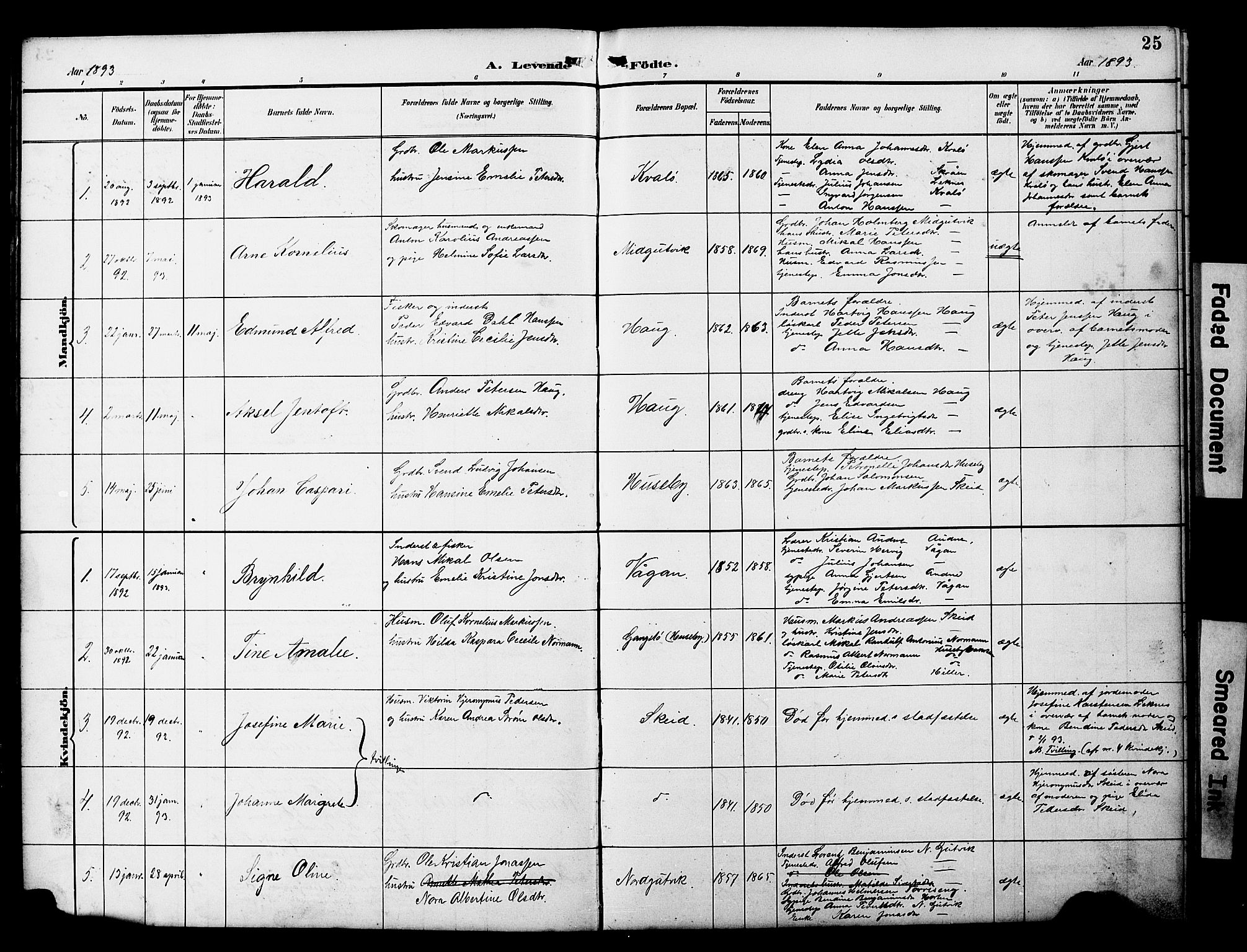 Ministerialprotokoller, klokkerbøker og fødselsregistre - Nord-Trøndelag, SAT/A-1458/788/L0701: Parish register (copy) no. 788C01, 1888-1913, p. 25