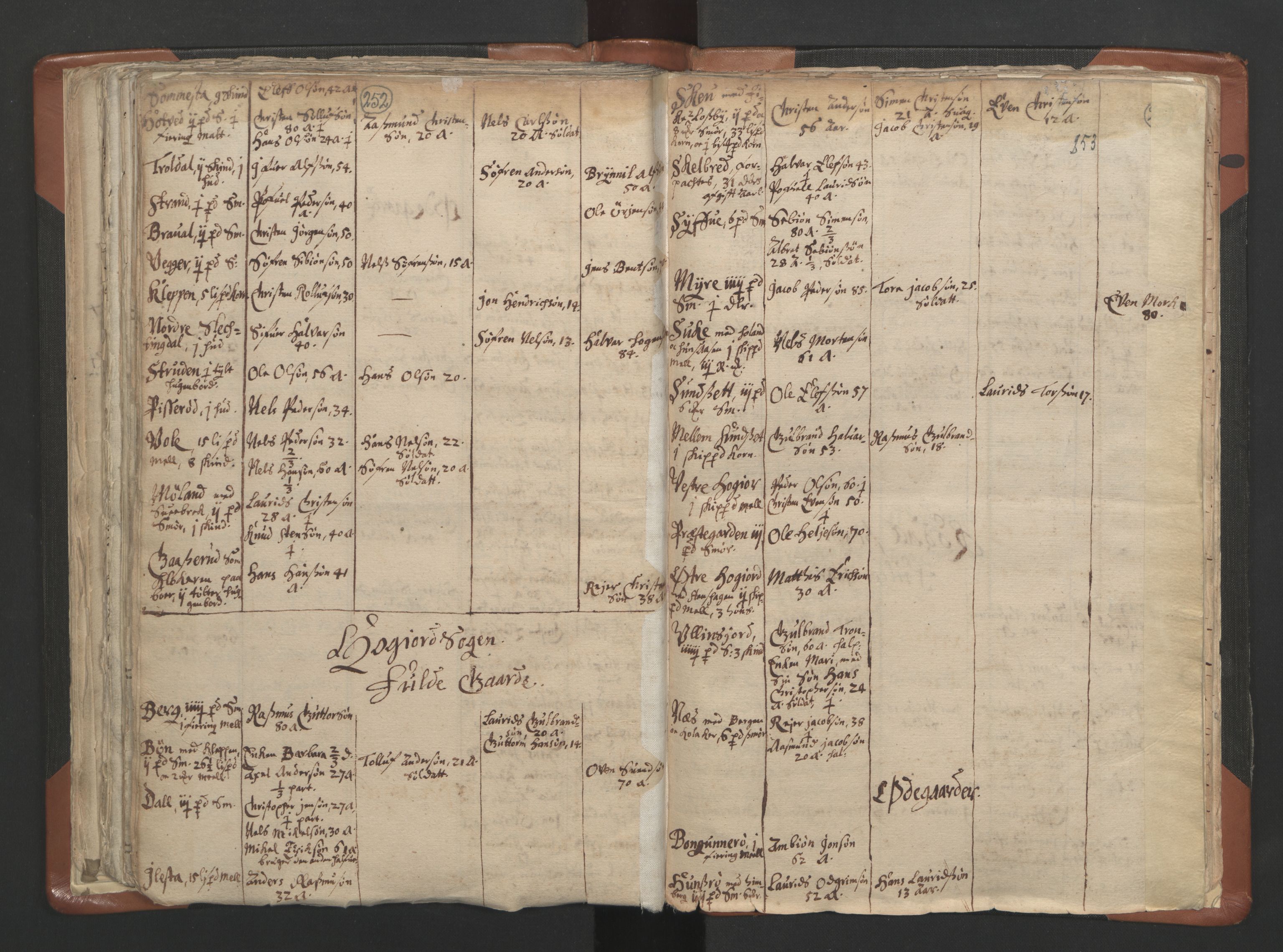 RA, Vicar's Census 1664-1666, no. 10: Tønsberg deanery, 1664-1666, p. 252-253
