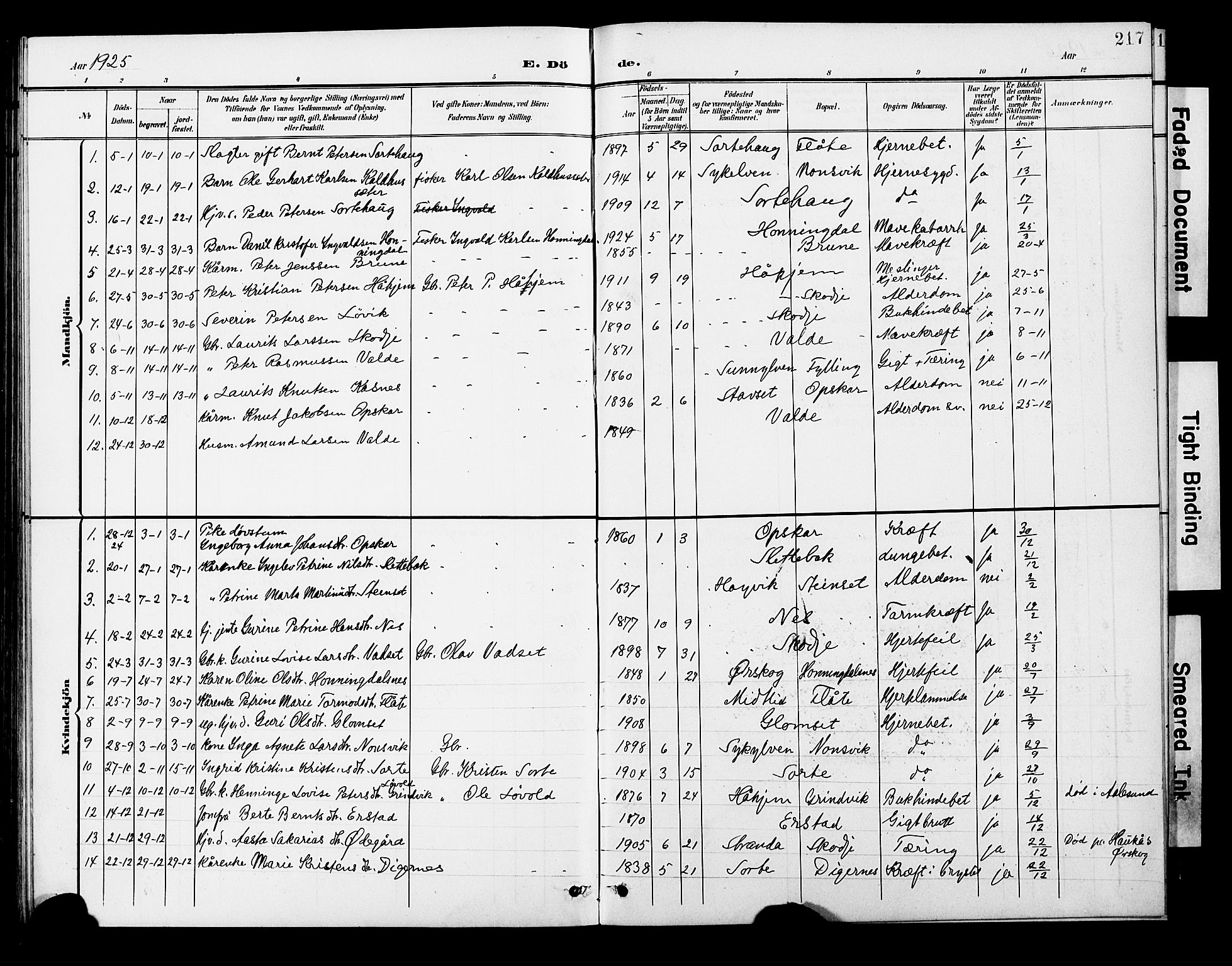 Ministerialprotokoller, klokkerbøker og fødselsregistre - Møre og Romsdal, AV/SAT-A-1454/524/L0366: Parish register (copy) no. 524C07, 1900-1931, p. 217