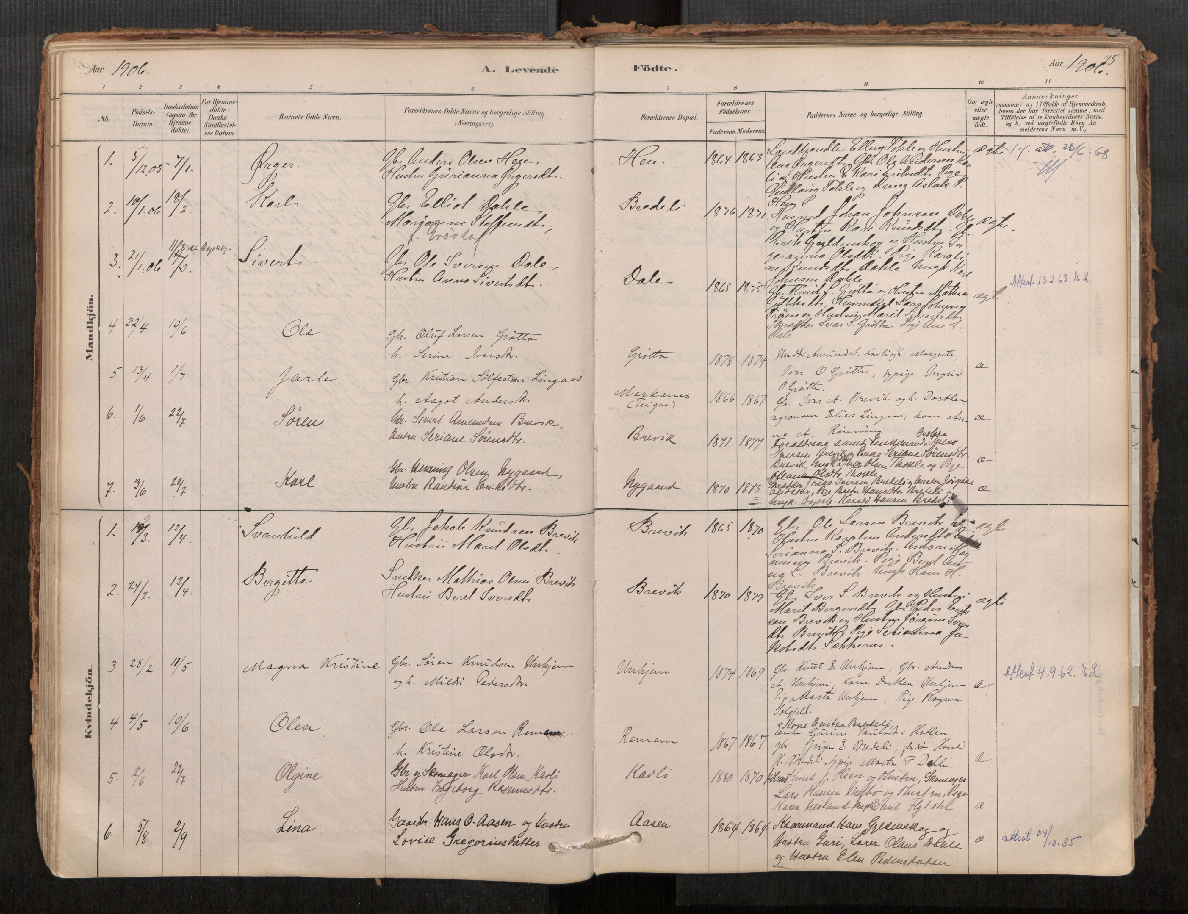 Ministerialprotokoller, klokkerbøker og fødselsregistre - Møre og Romsdal, AV/SAT-A-1454/545/L0594: Parish register (official) no. 545A03, 1878-1920, p. 75