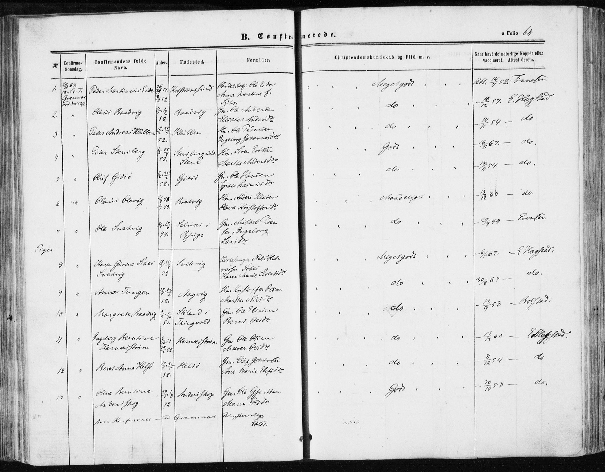 Ministerialprotokoller, klokkerbøker og fødselsregistre - Sør-Trøndelag, AV/SAT-A-1456/634/L0531: Parish register (official) no. 634A07, 1861-1870, p. 64