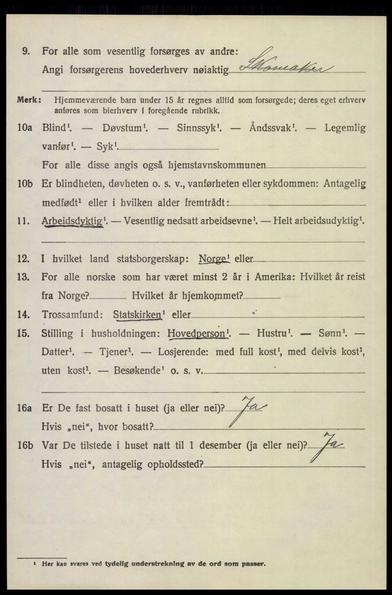 SAH, 1920 census for Vinger, 1920, p. 8931