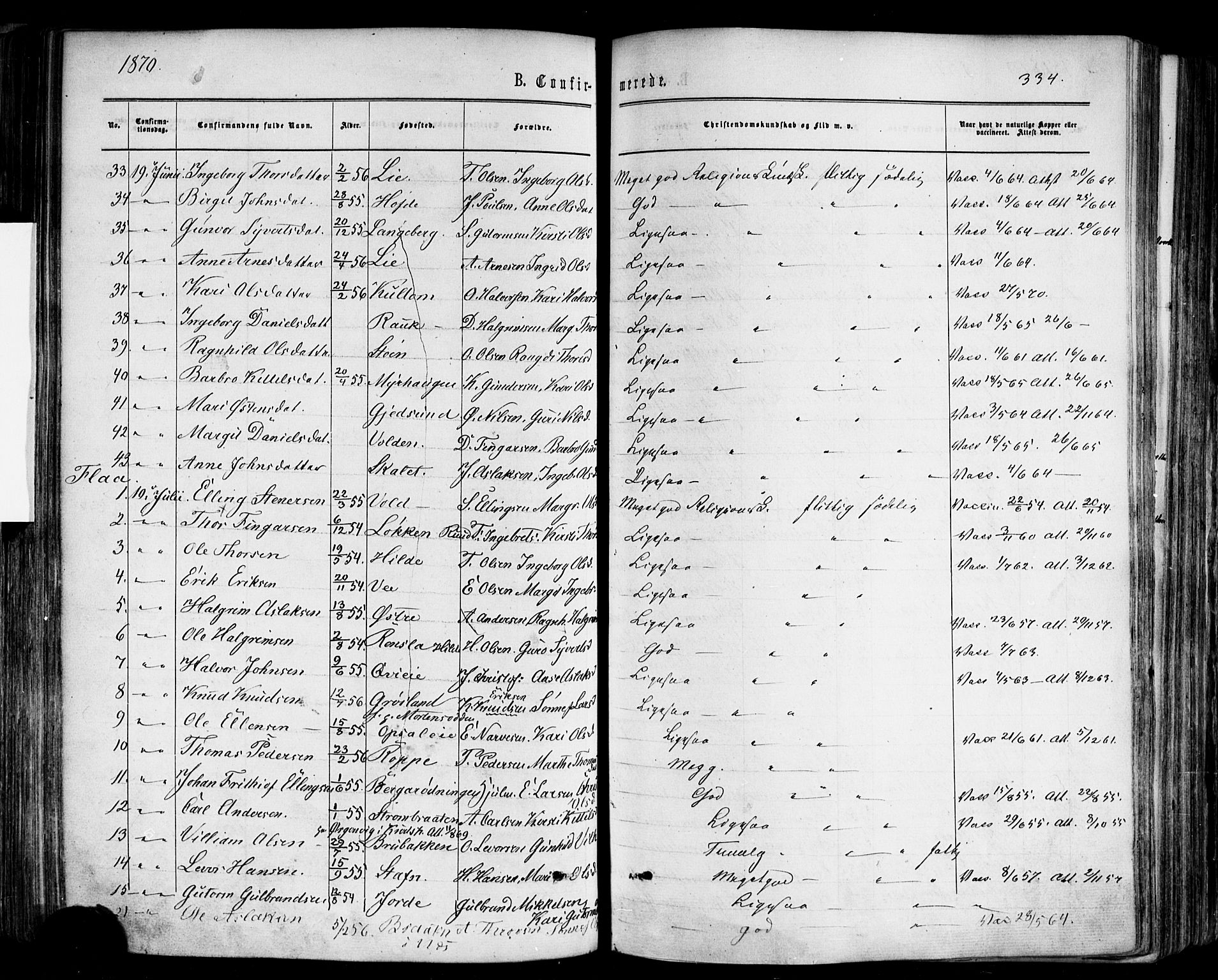 Nes kirkebøker, AV/SAKO-A-236/F/Fa/L0010: Parish register (official) no. 10, 1864-1880, p. 334