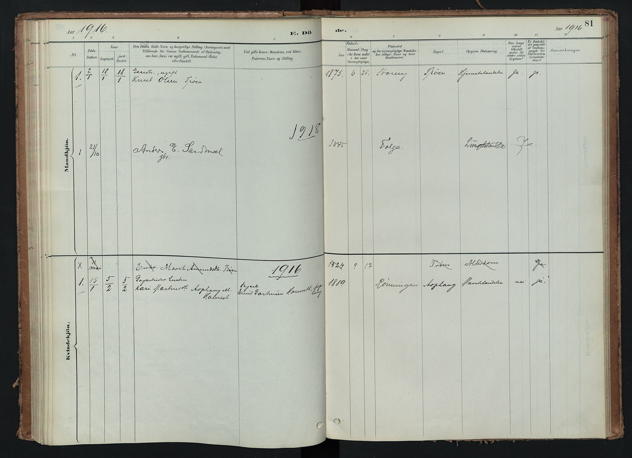 Tynset prestekontor, SAH/PREST-058/H/Ha/Haa/L0024: Parish register (official) no. 24, 1885-1916, p. 81