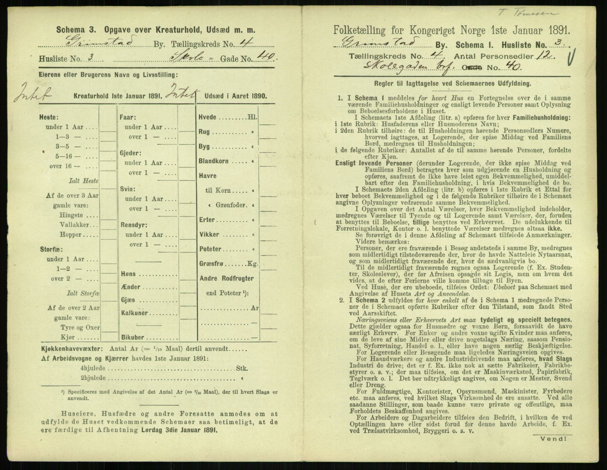 RA, 1891 census for 0904 Grimstad, 1891, p. 438