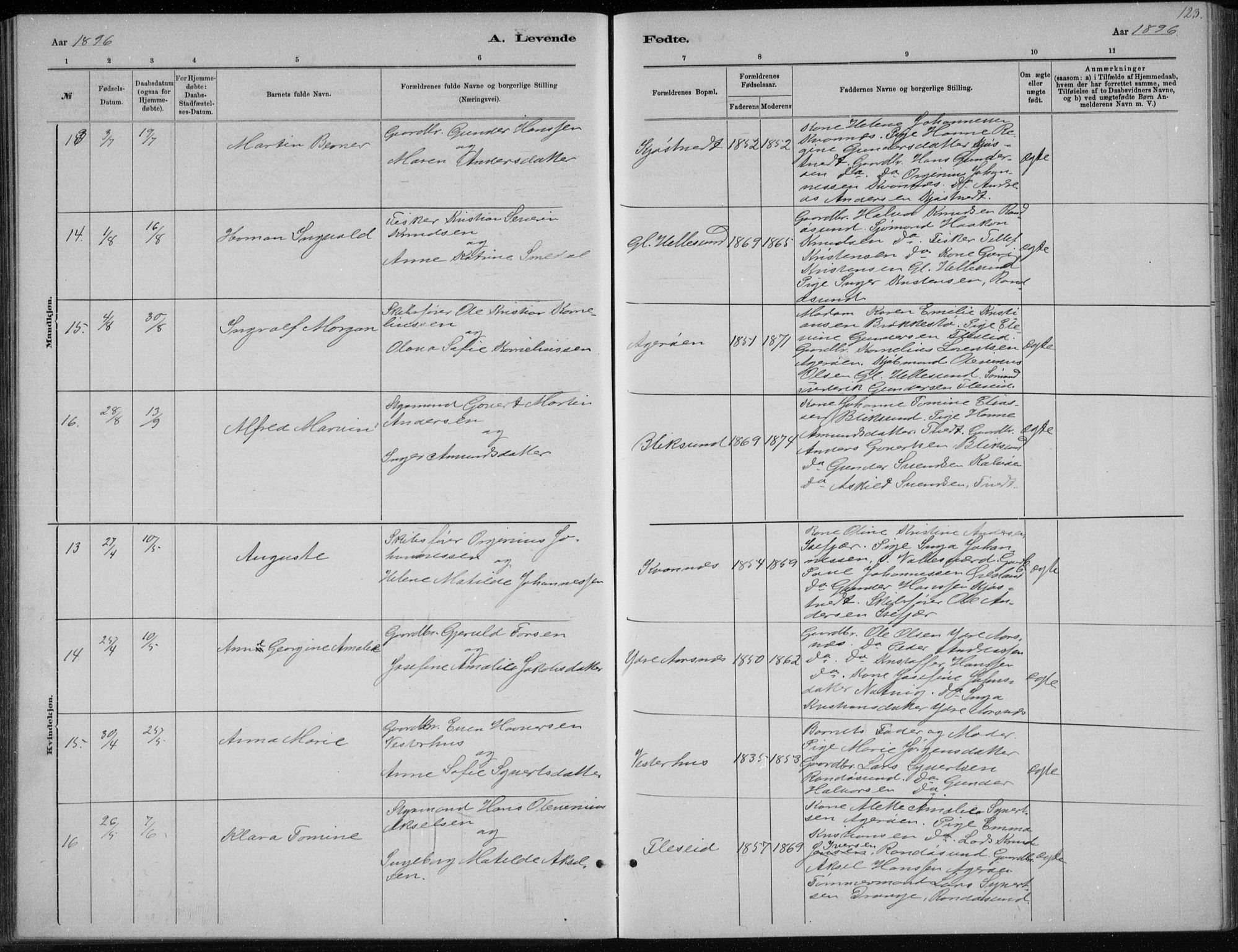 Høvåg sokneprestkontor, SAK/1111-0025/F/Fb/L0004: Parish register (copy) no. B 4, 1883-1898, p. 123