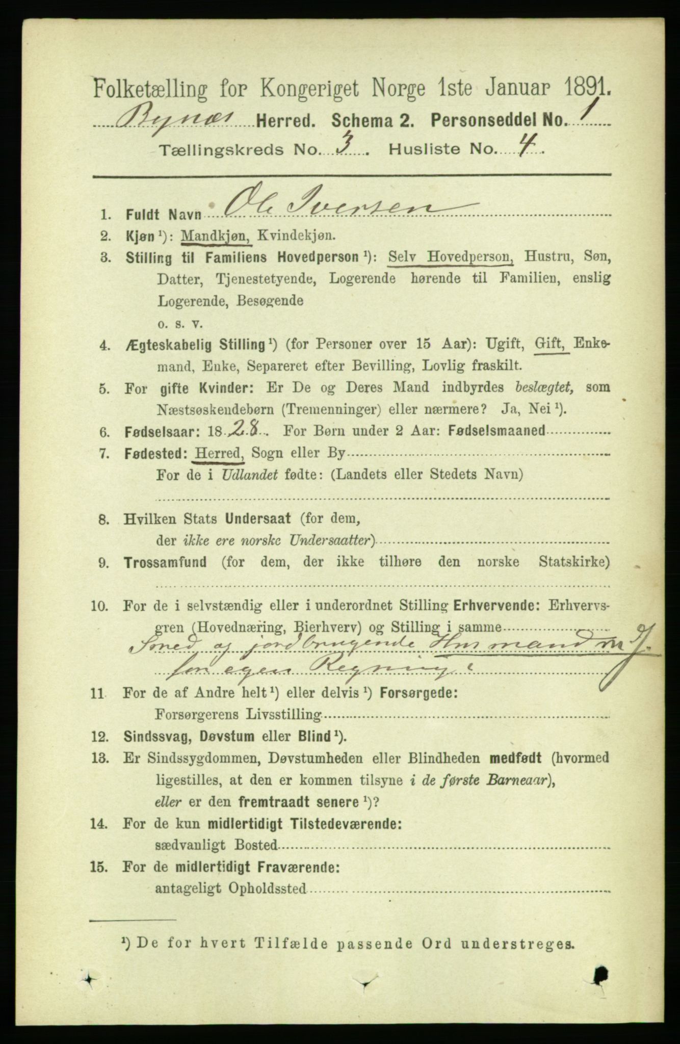 RA, 1891 census for 1655 Byneset, 1891, p. 1306