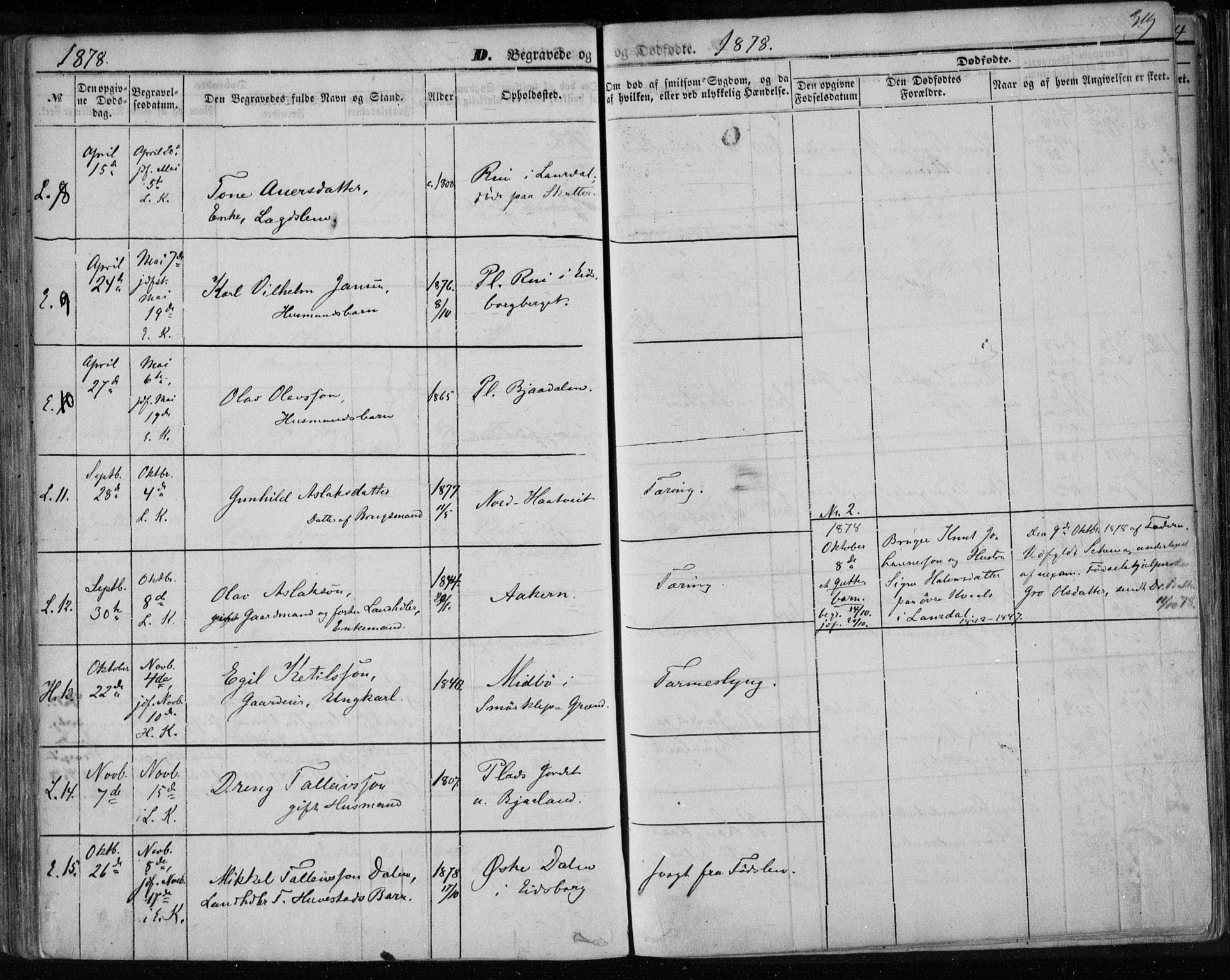 Lårdal kirkebøker, SAKO/A-284/F/Fa/L0006: Parish register (official) no. I 6, 1861-1886, p. 319
