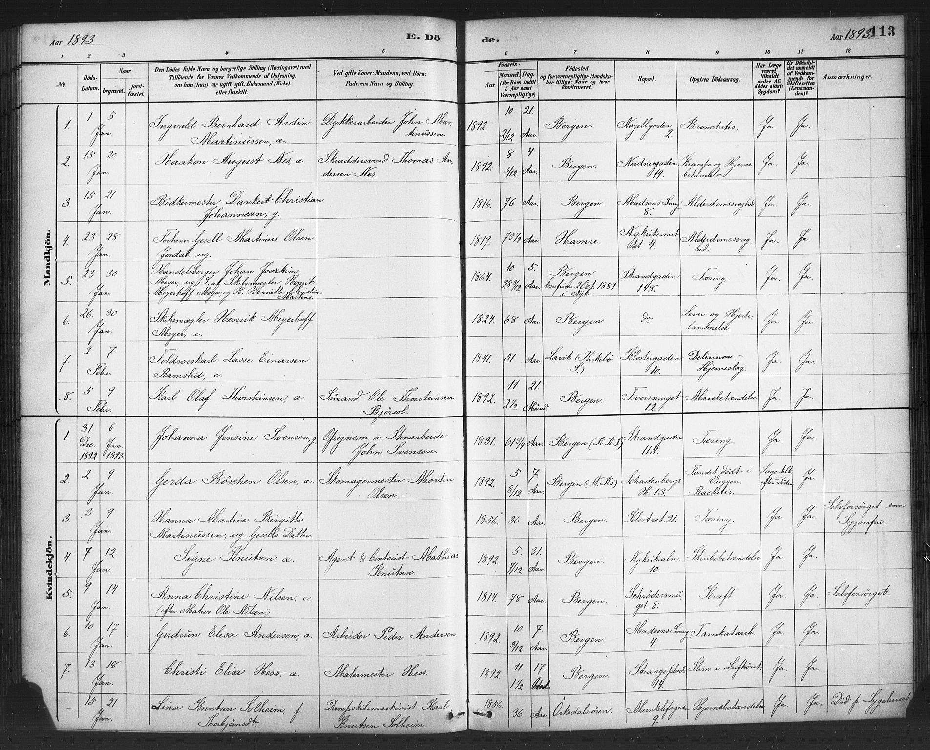 Nykirken Sokneprestembete, SAB/A-77101/H/Haa/L0044: Parish register (official) no. E 4, 1882-1898, p. 113