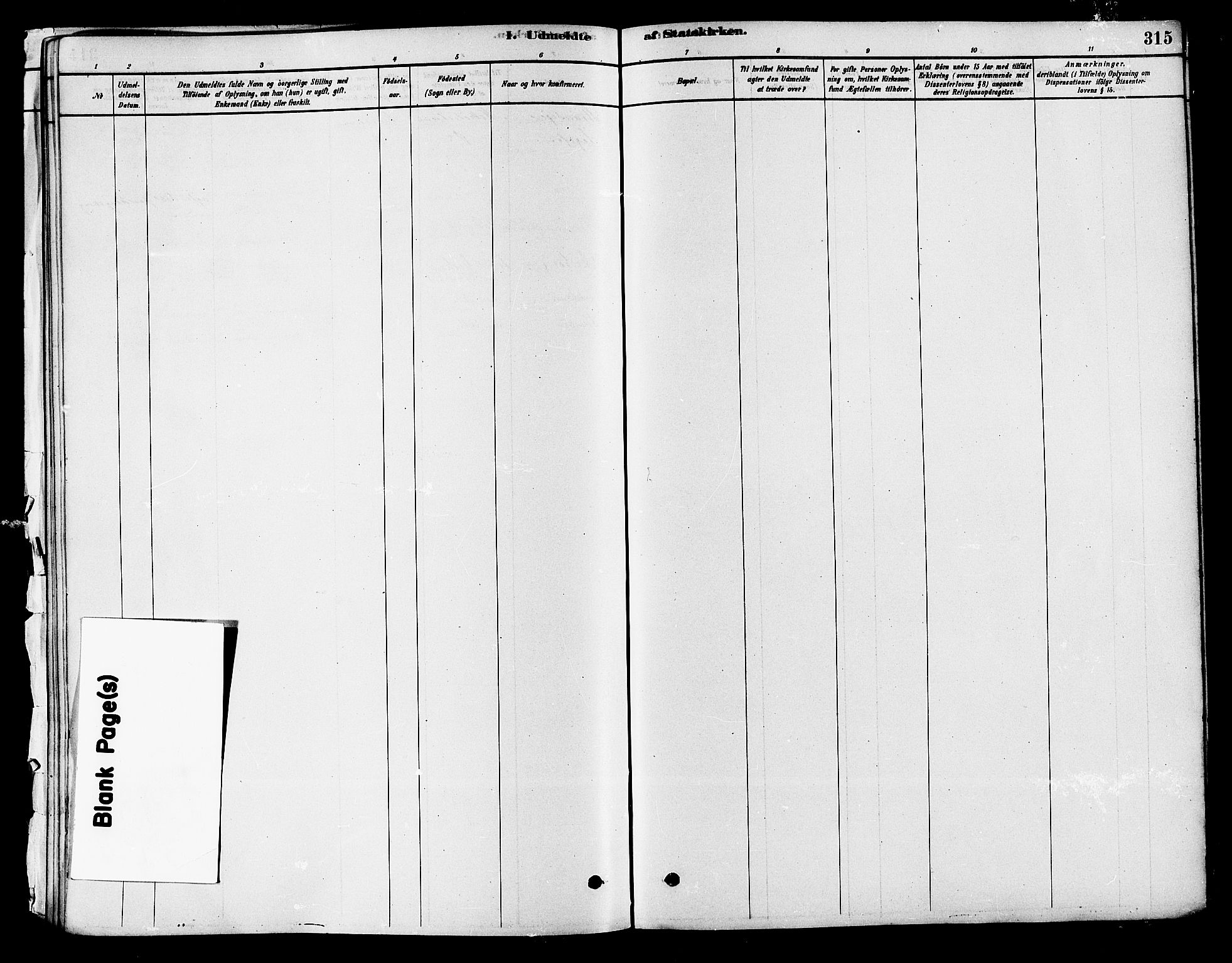 Modum kirkebøker, SAKO/A-234/F/Fa/L0011: Parish register (official) no. 11, 1877-1889, p. 315
