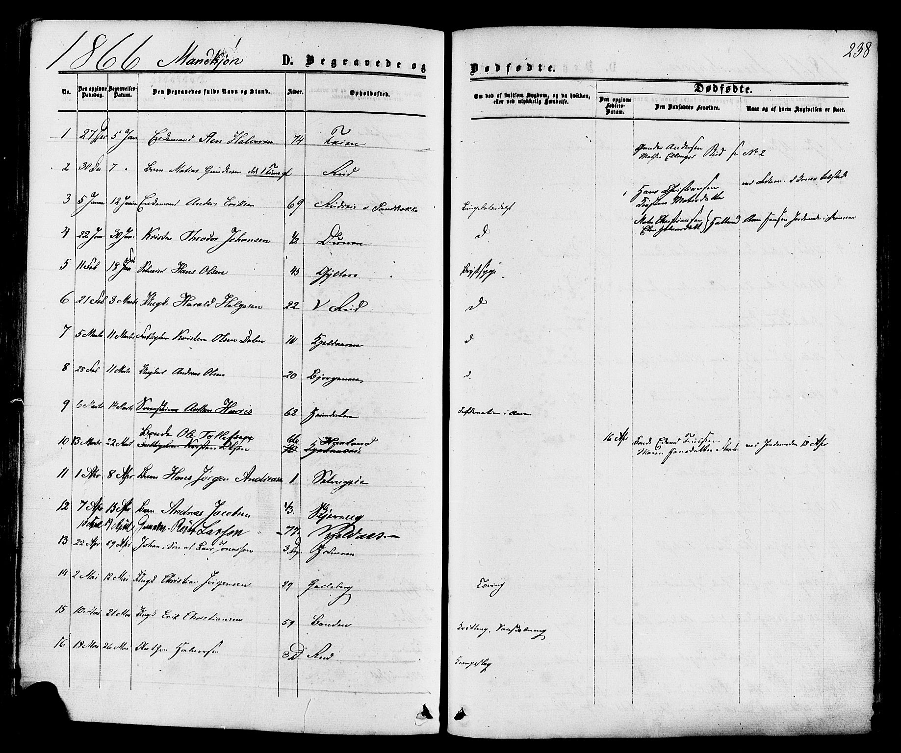 Sande Kirkebøker, AV/SAKO-A-53/F/Fa/L0005: Parish register (official) no. 5, 1865-1877, p. 238