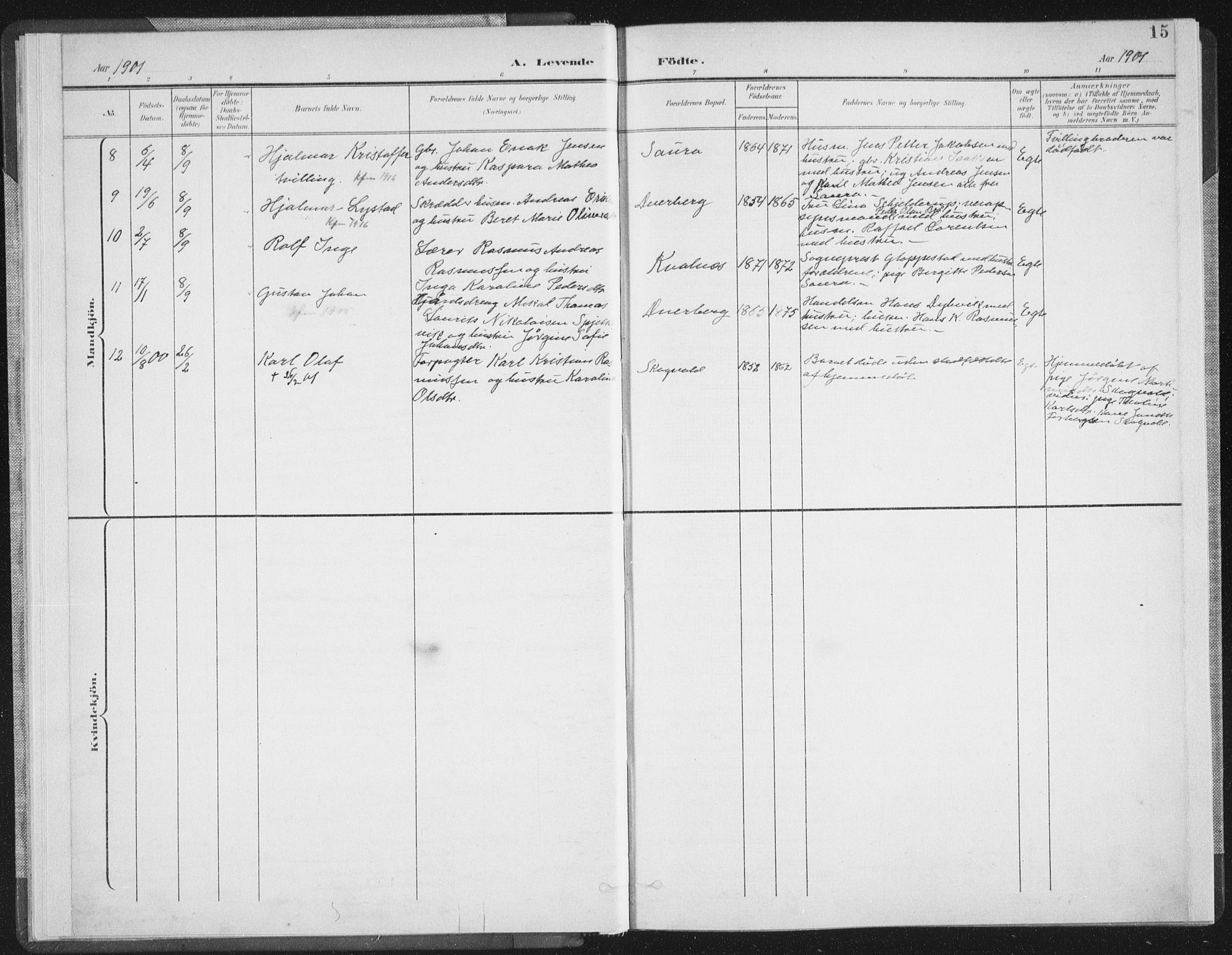 Ministerialprotokoller, klokkerbøker og fødselsregistre - Nordland, SAT/A-1459/897/L1400: Parish register (official) no. 897A07, 1897-1908, p. 15