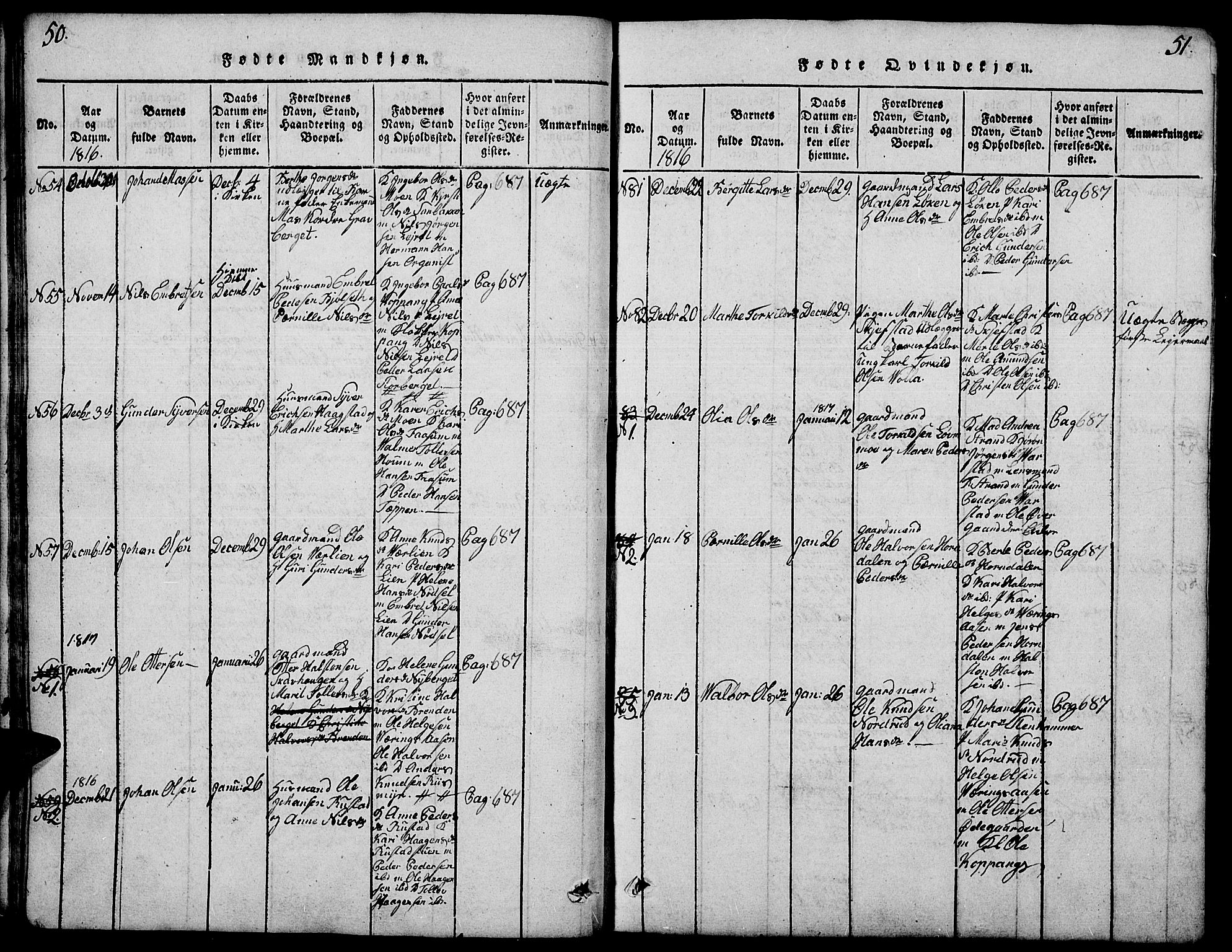 Elverum prestekontor, AV/SAH-PREST-044/H/Ha/Hab/L0001: Parish register (copy) no. 1, 1815-1829, p. 50-51