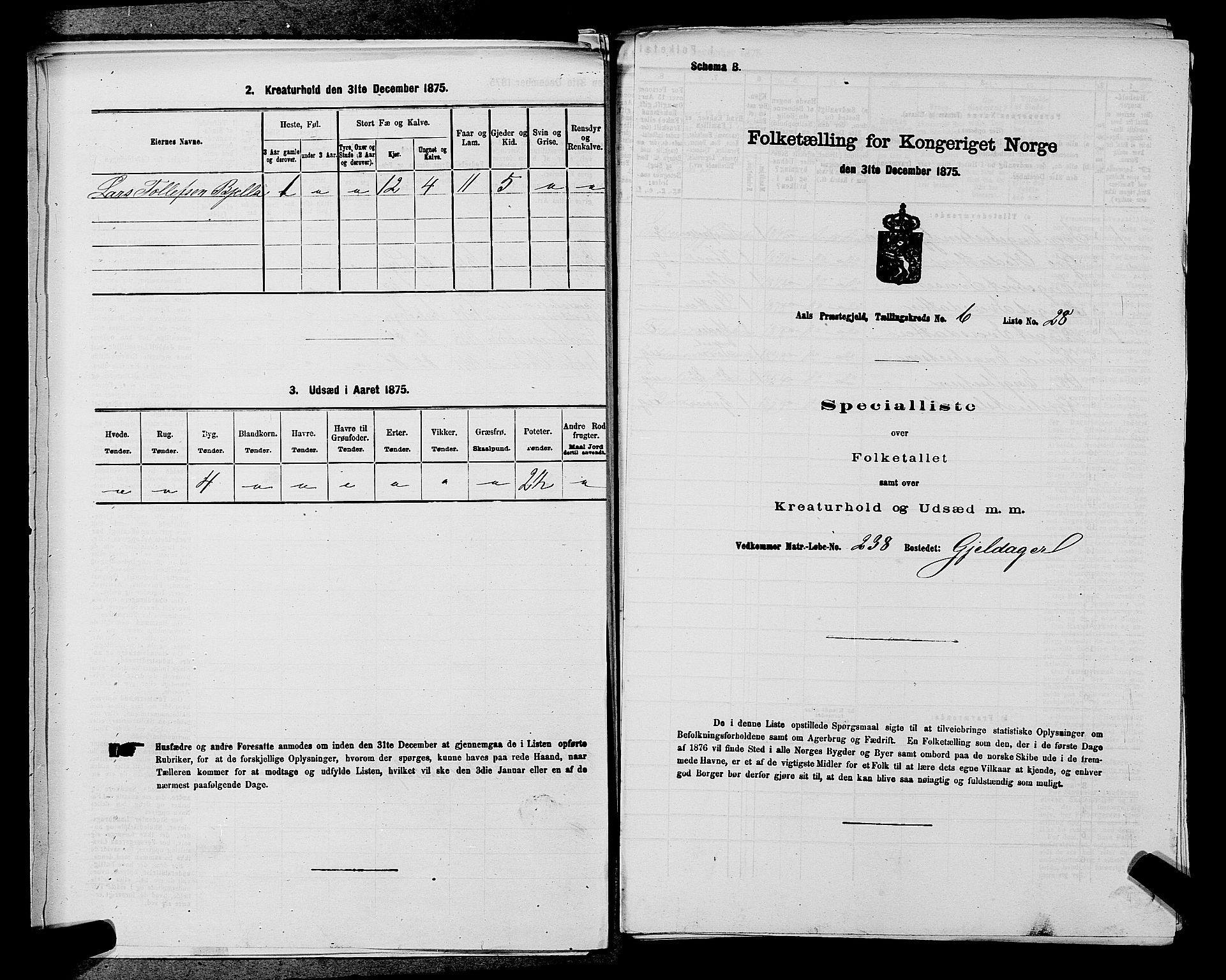 SAKO, 1875 census for 0619P Ål, 1875, p. 795