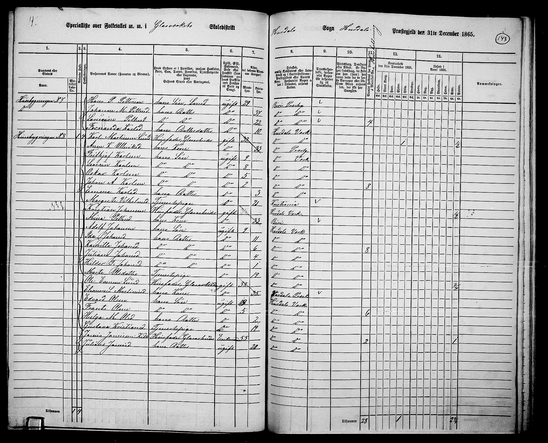 RA, 1865 census for Hurdal, 1865, p. 119