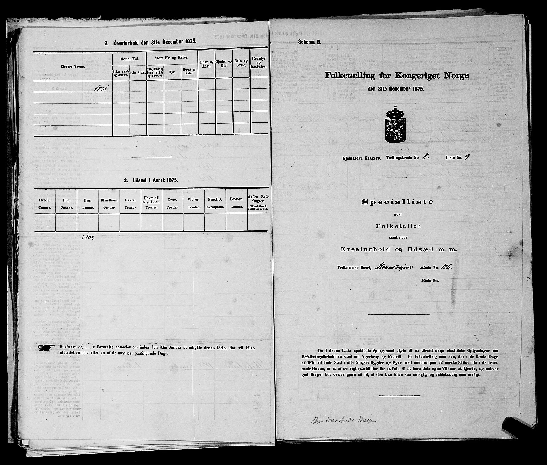 SAKO, 1875 census for 0801P Kragerø, 1875, p. 251