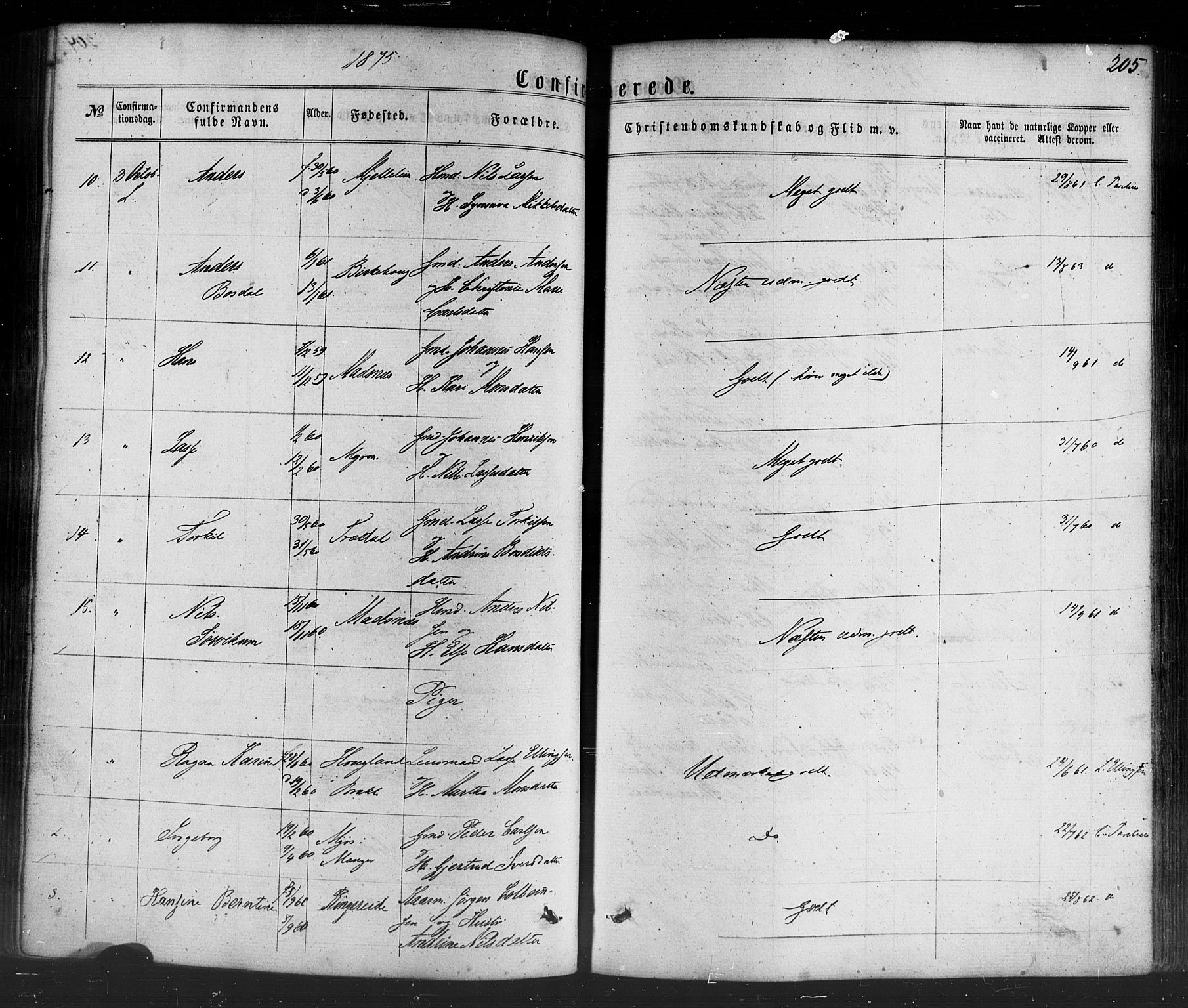 Lavik sokneprestembete, AV/SAB-A-80901: Parish register (official) no. A 4, 1864-1881, p. 205