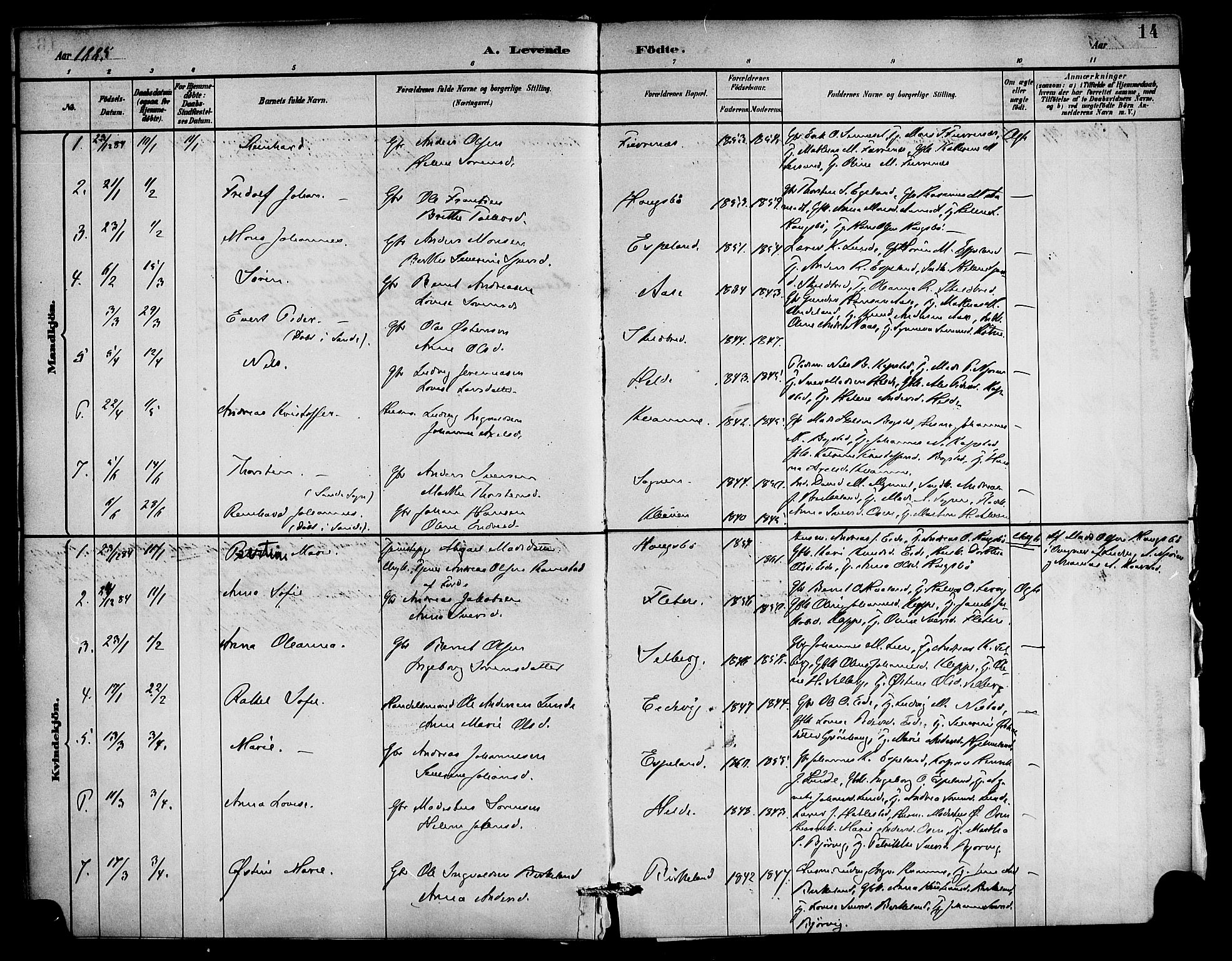 Gaular sokneprestembete, AV/SAB-A-80001/H/Haa: Parish register (official) no. C 1, 1882-1897, p. 14