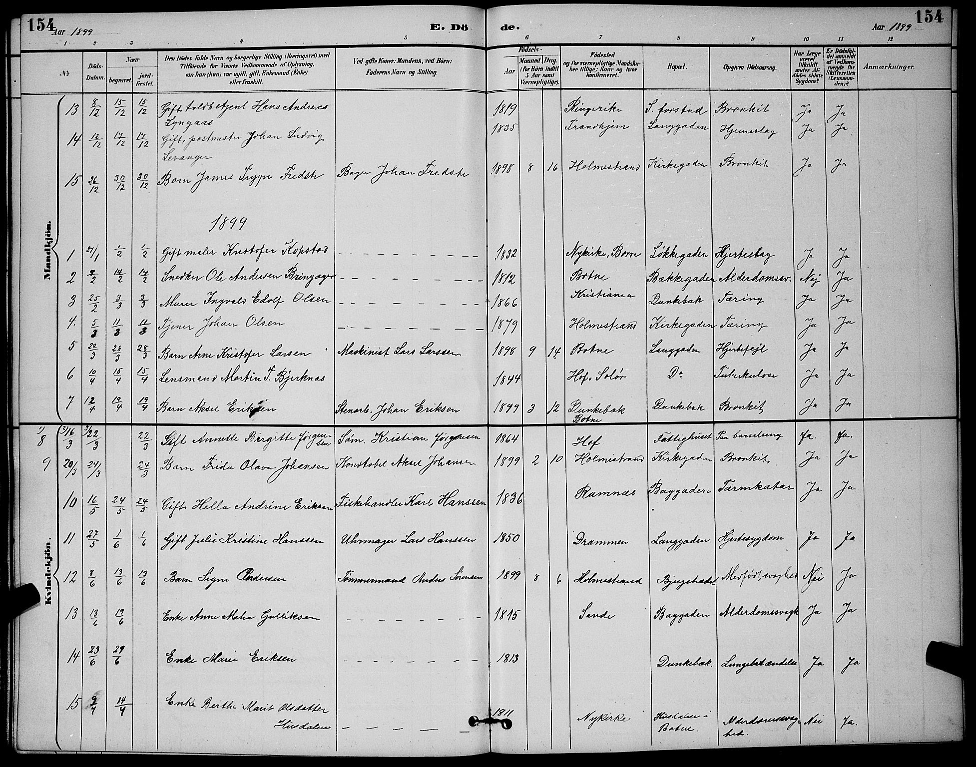 Holmestrand kirkebøker, AV/SAKO-A-346/G/Ga/L0005: Parish register (copy) no. 5, 1889-1901, p. 154