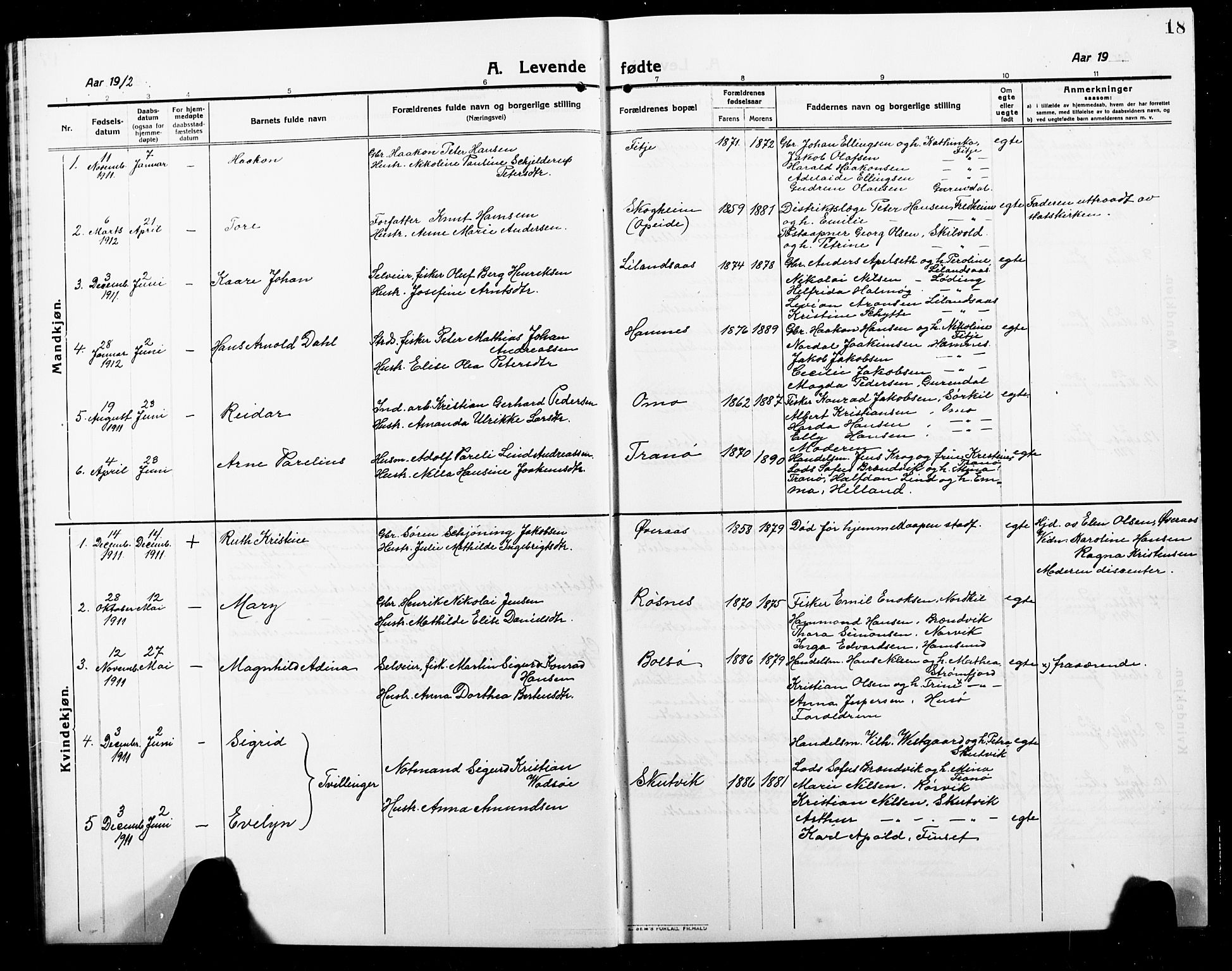 Ministerialprotokoller, klokkerbøker og fødselsregistre - Nordland, AV/SAT-A-1459/859/L0861: Parish register (copy) no. 859C07, 1910-1925, p. 18