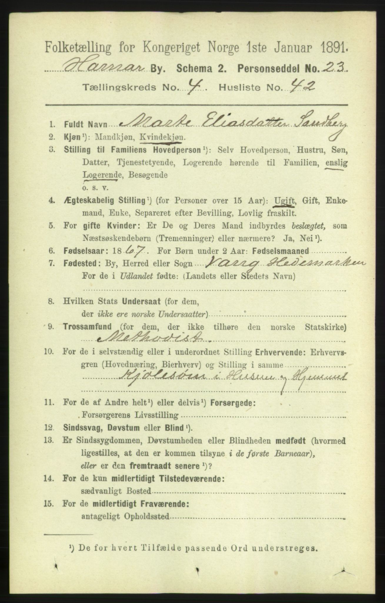 RA, 1891 census for 0401 Hamar, 1891, p. 3615
