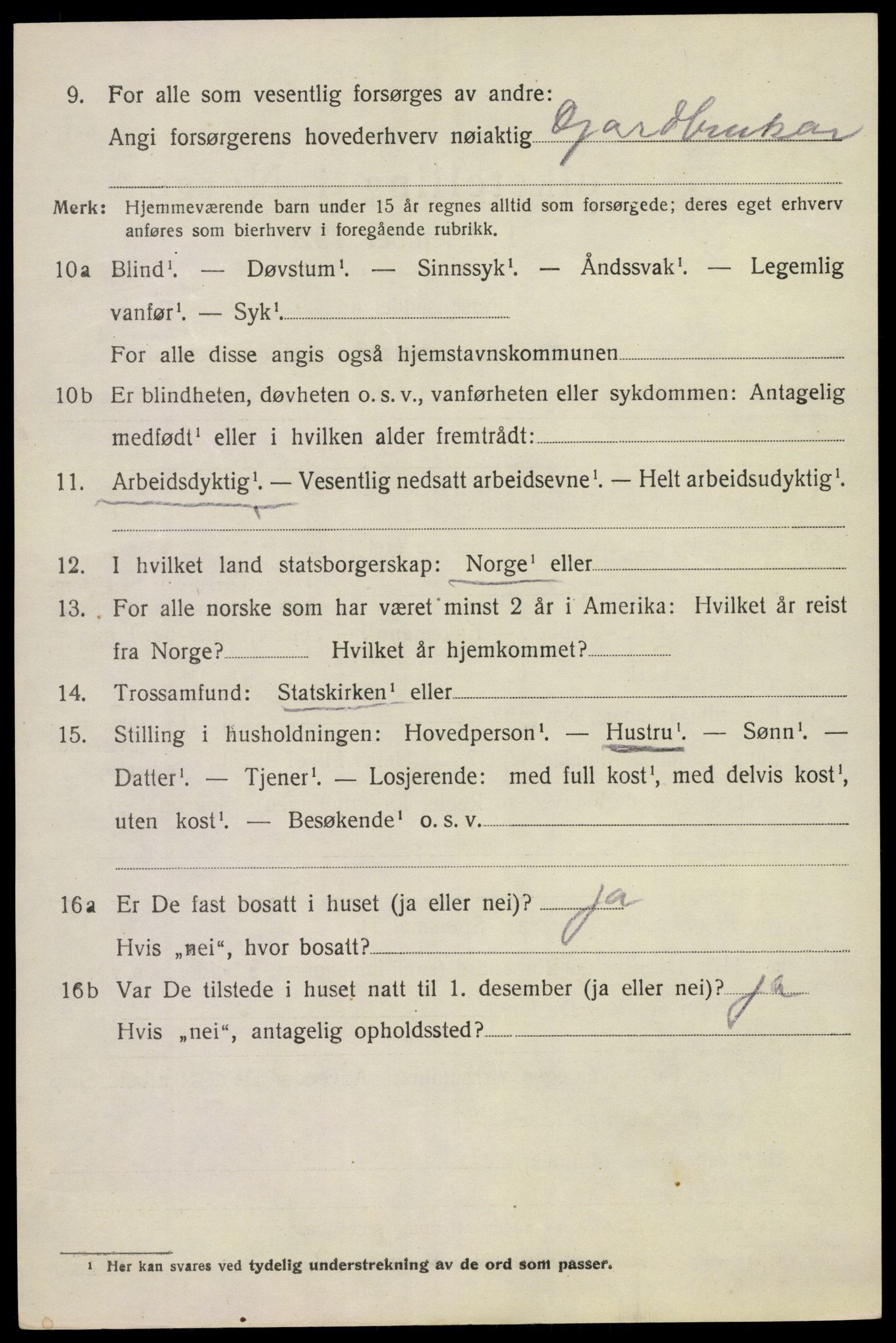 SAKO, 1920 census for Tinn, 1920, p. 3513